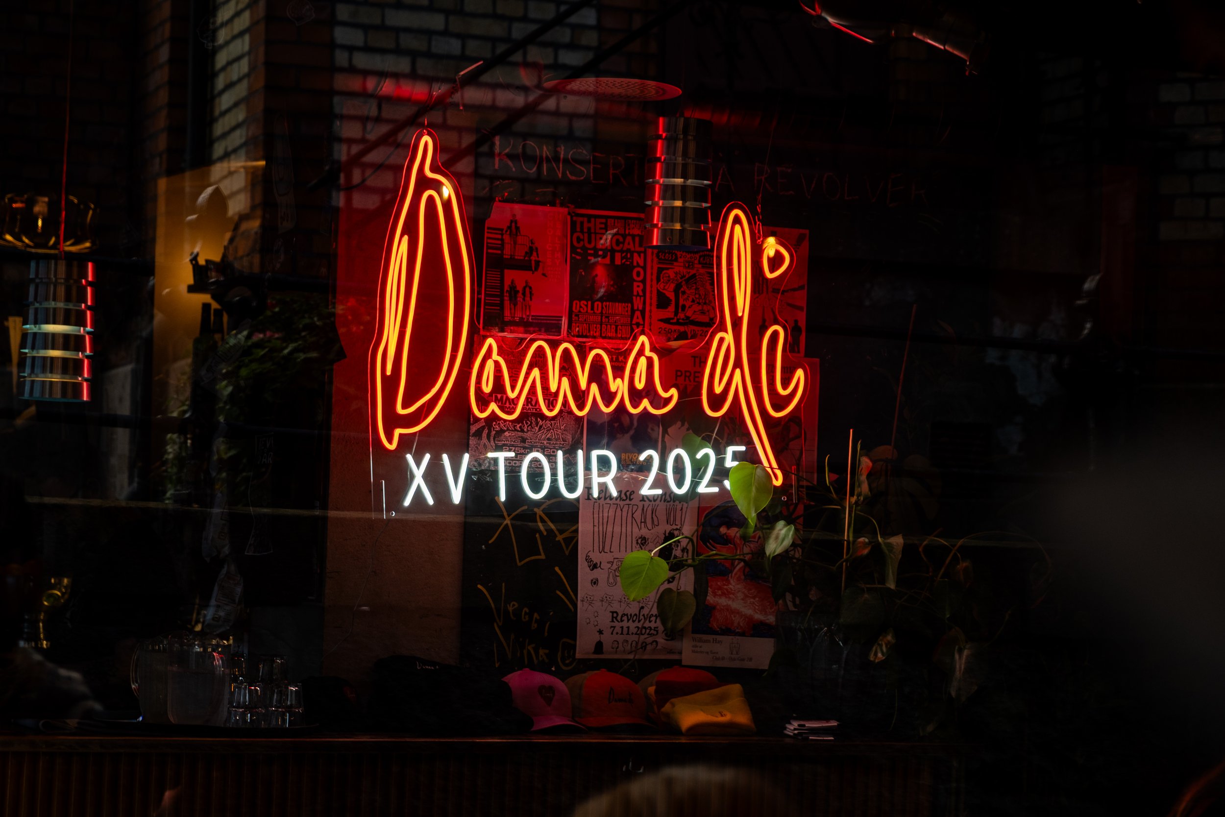 Dama Di XV Oslo-13.jpg