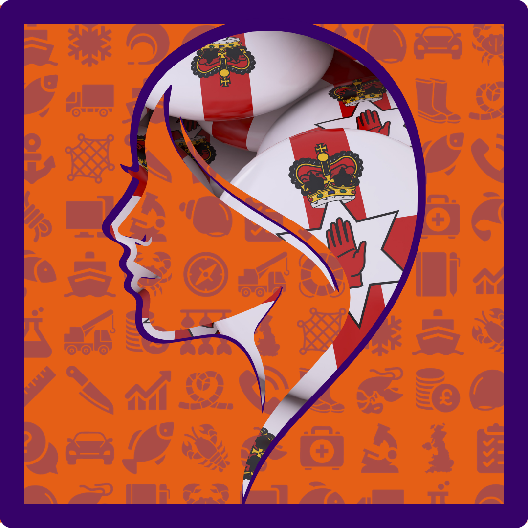 Northern Ireland Regional Web Page