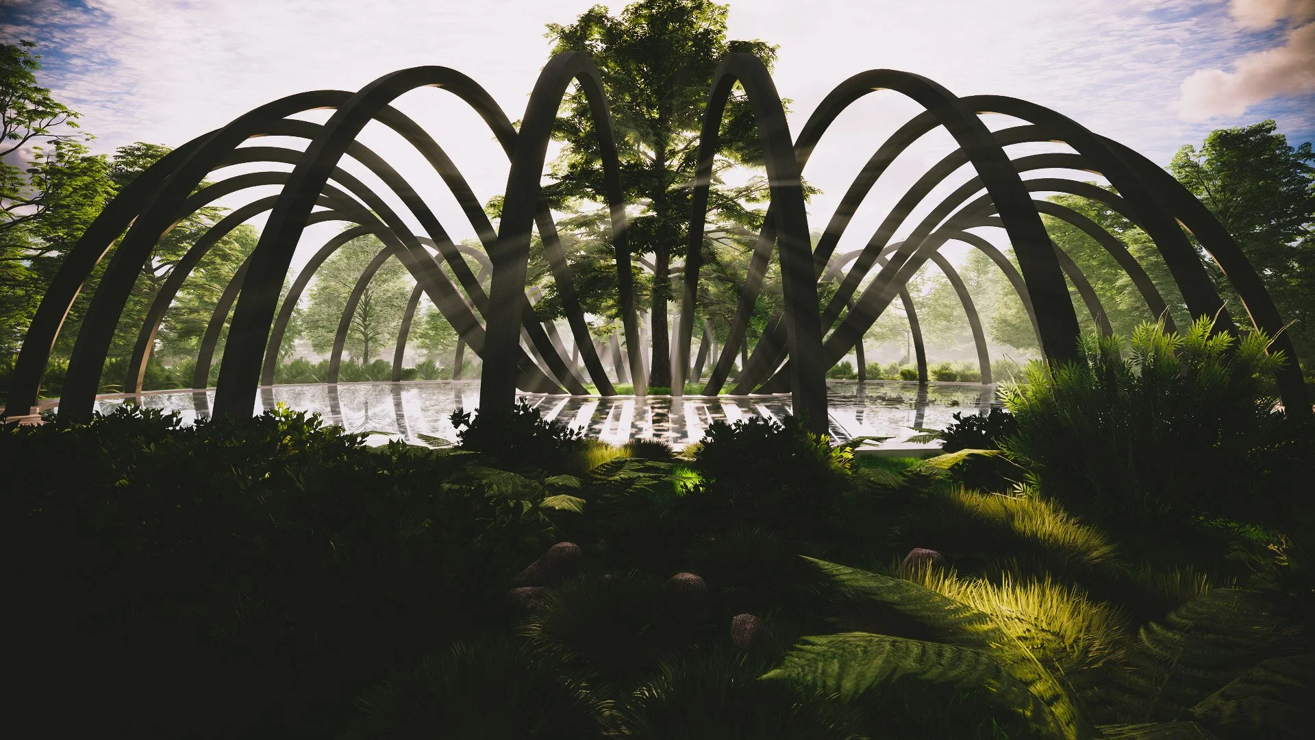 wetlands (1).jpg