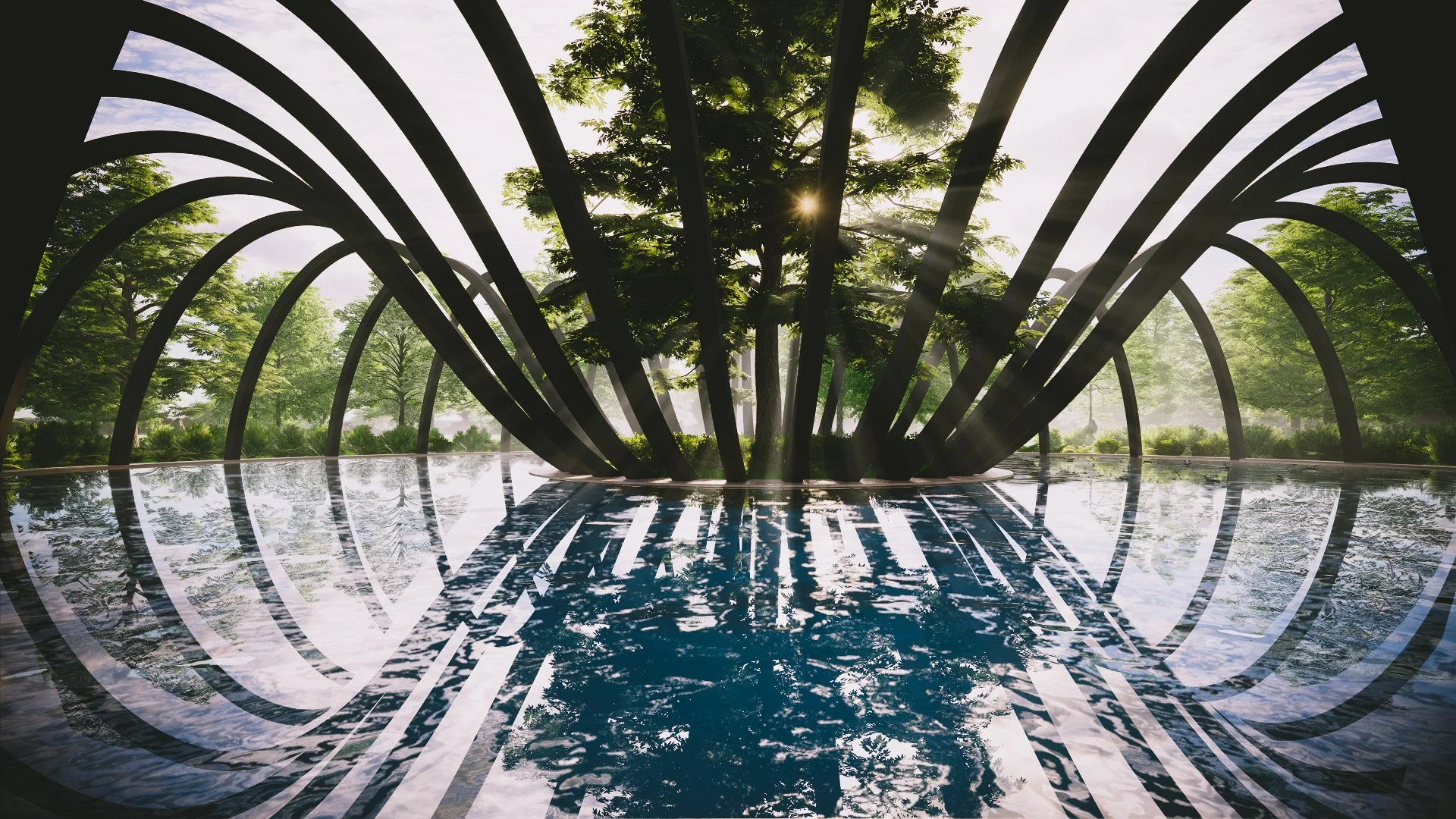 wetlands (2).jpg