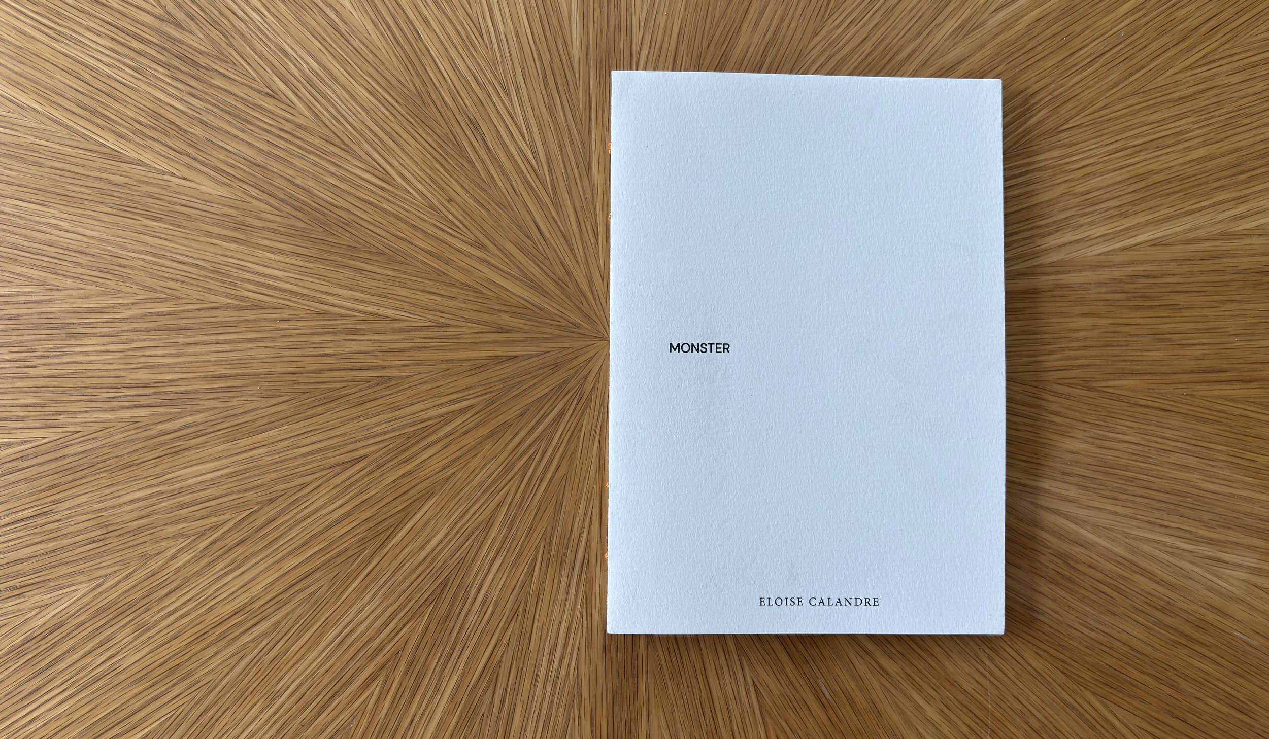 Monster_cover_forweb.jpg