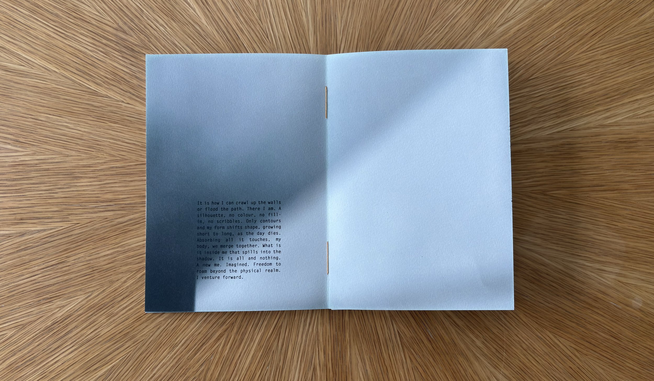 Monster_pages_forweb4.jpg