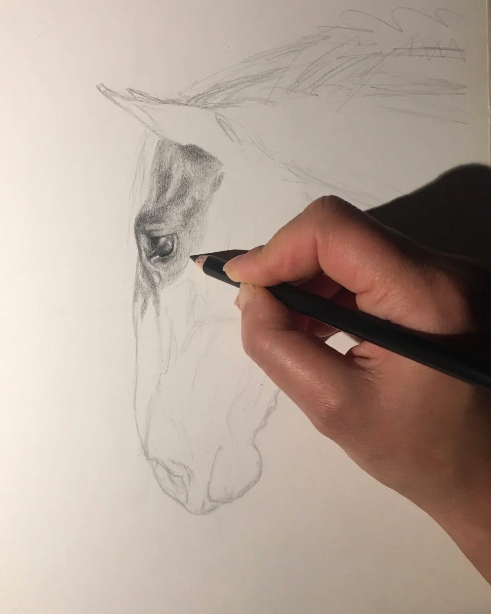 That fresh start feeling feeling when beginning a new portrait&hellip;
.
.
.
#orpwoodfineart
#thehorseartist
#theequineartist
#theequestrianartist
#horseportraitartist
#horseportraitsofinstagram
#horseartistofig
#equineportrait
#equineportraitartist
