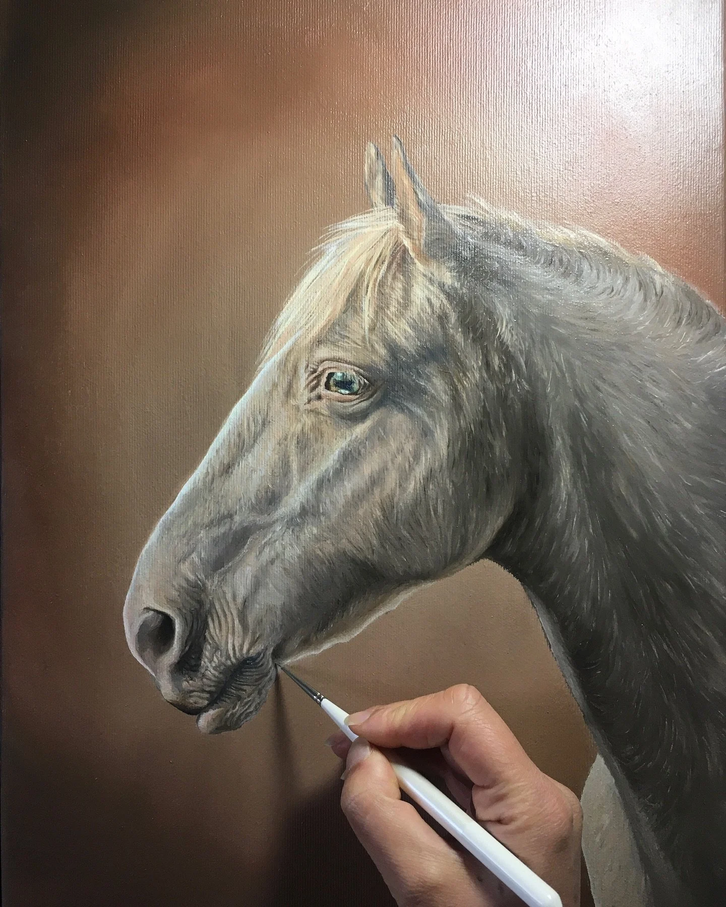 Horse Portrait &lsquo;Albie&rsquo; in process&hellip;
.
.
.
#oldboy
#horseportrait
#orpwoodart
#smmylesorpwoodart
#orpwoodfineart
#theeequineartisr
#thehorseartist
#equestrianart
#horseart
#equineart
#horseportraiture
#oilpainting
#paintingofahorse
#