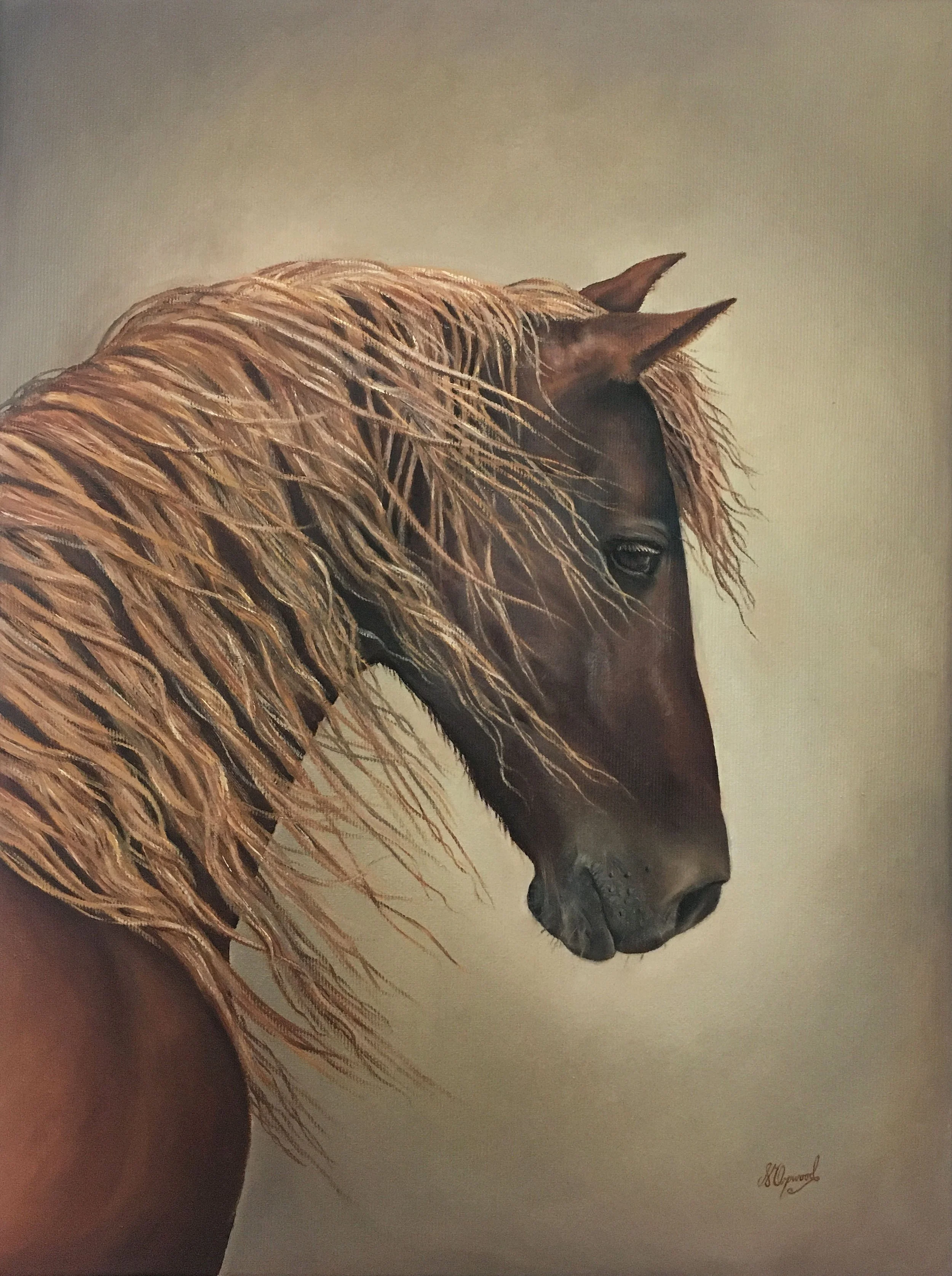 Oil Painting of a horse - Orpwood Fine Art - Susannah Orpwood Art.jpg