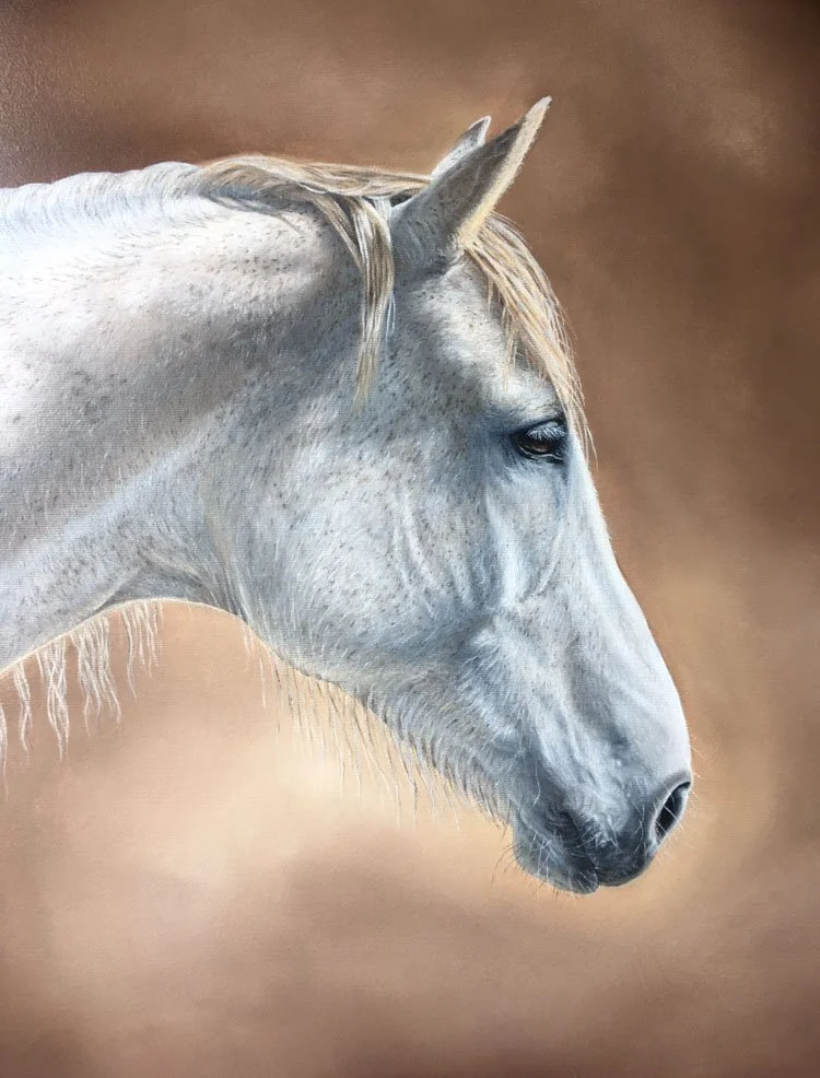 Oil Painting of a horse - Horse Portrait - Orpwood Fine Art - Susannah Orpwood Fine Art.jpg