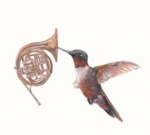 Hummingbird, watercolour