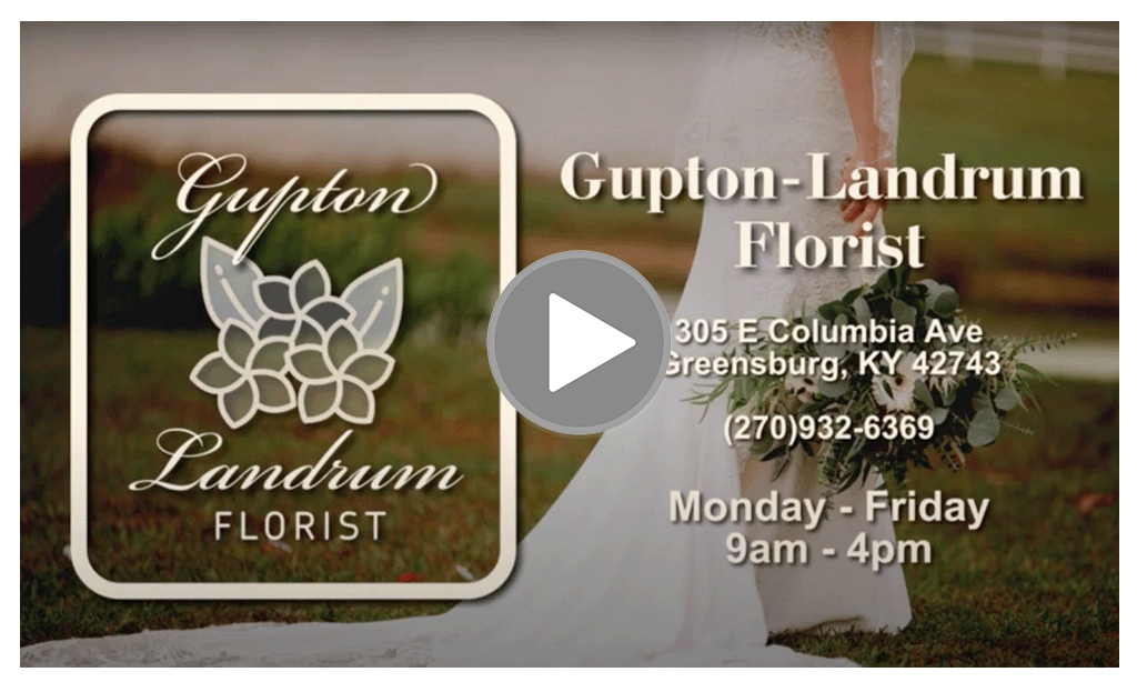 GlFlo-Splash-1024x0614_v02.png