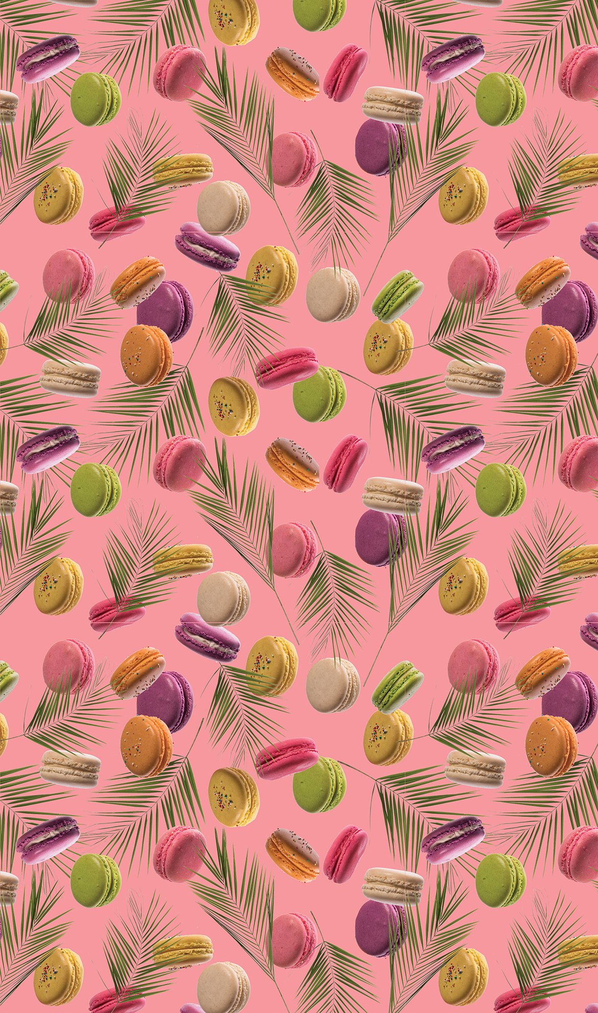 Mazee Pattern macaroon and palms USE LAST PATTERN.jpg