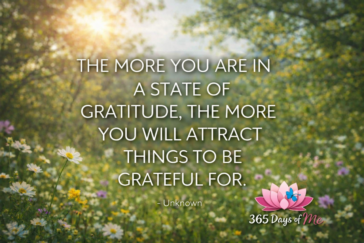 Gratitude attracts more to be grateful for
