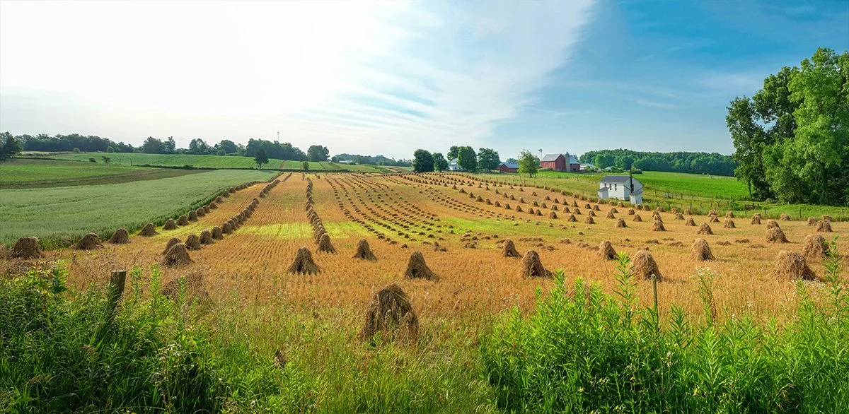 Interest Rate Harvest