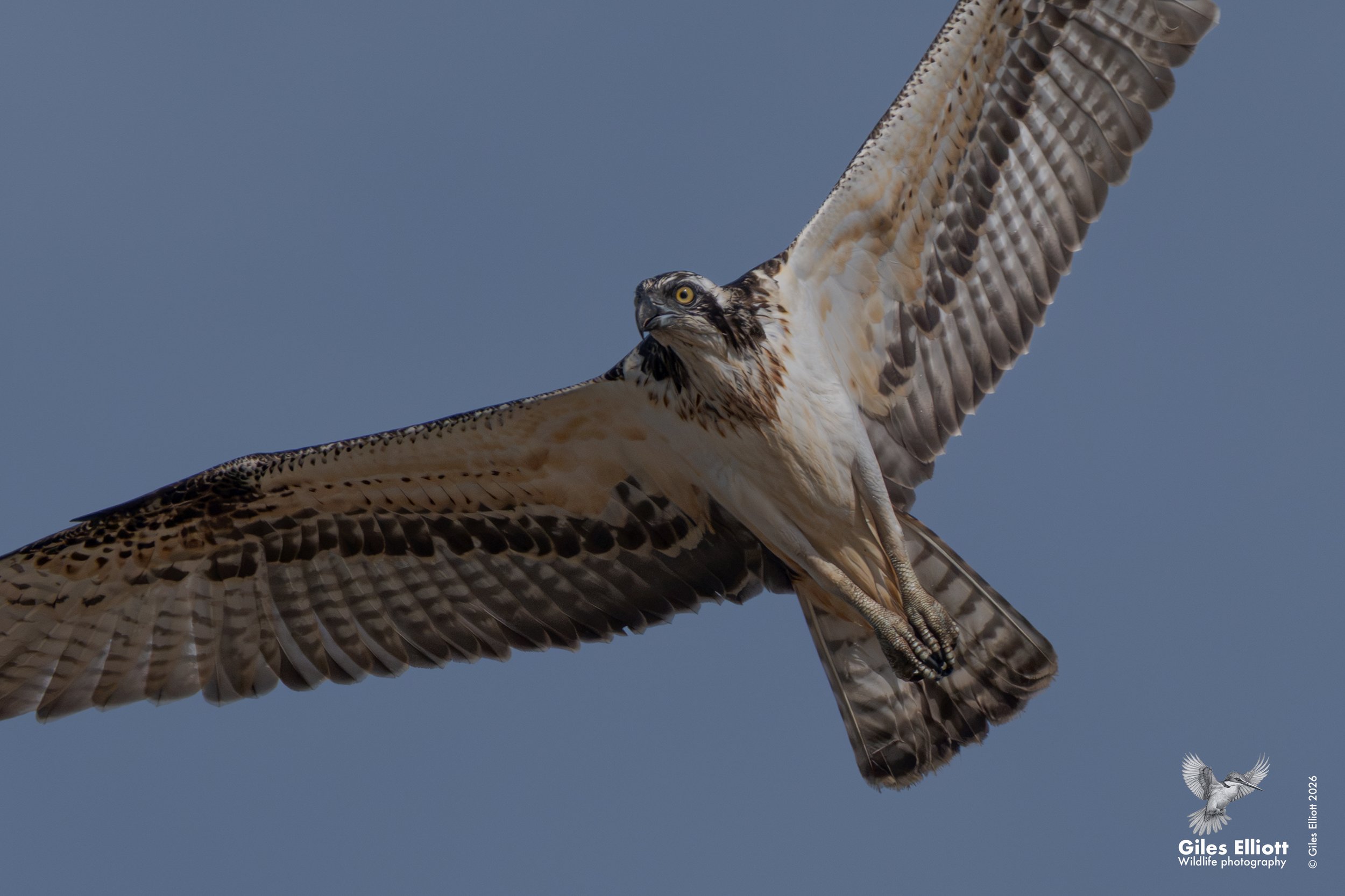 osprey 9 cu.jpg