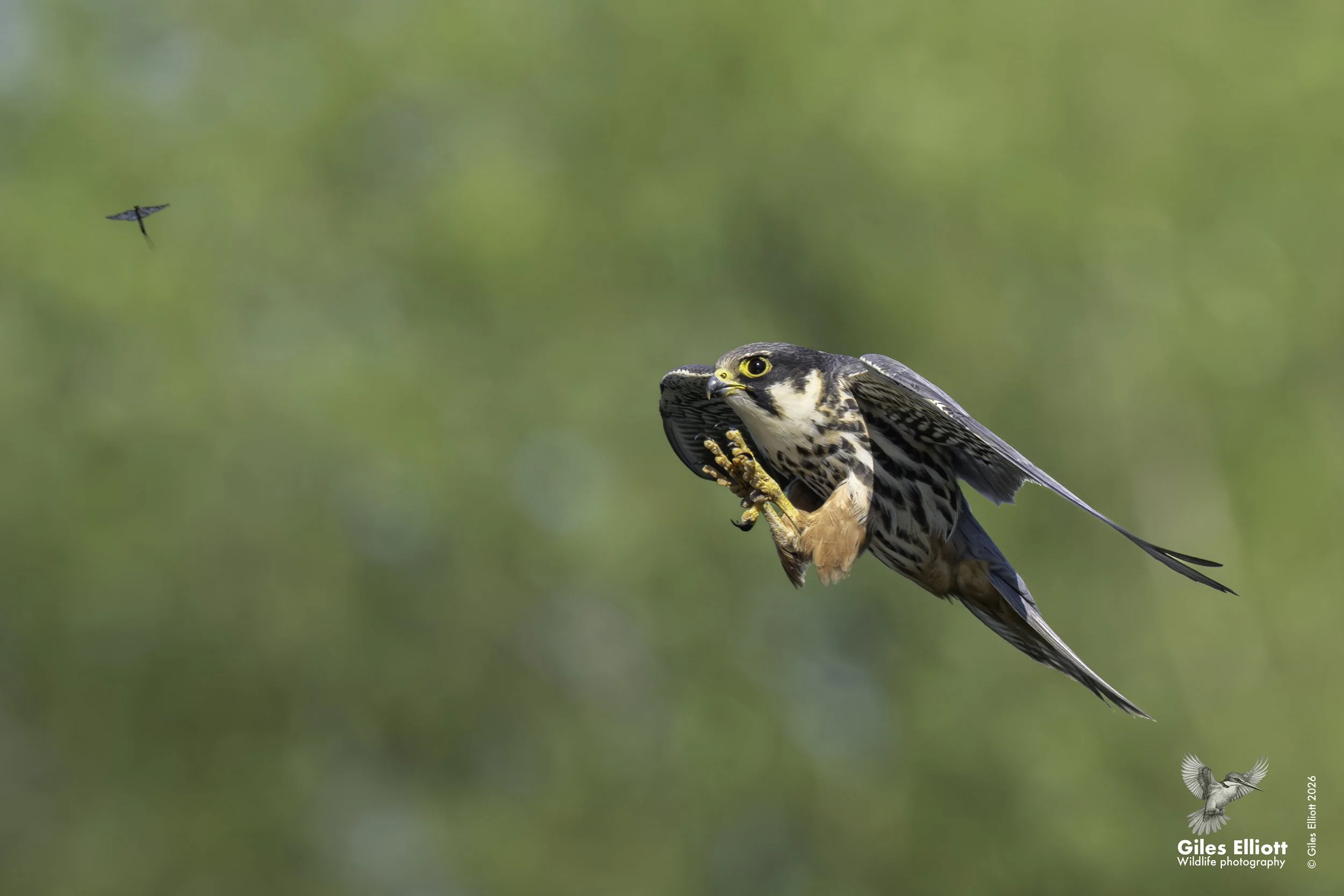 Hobby