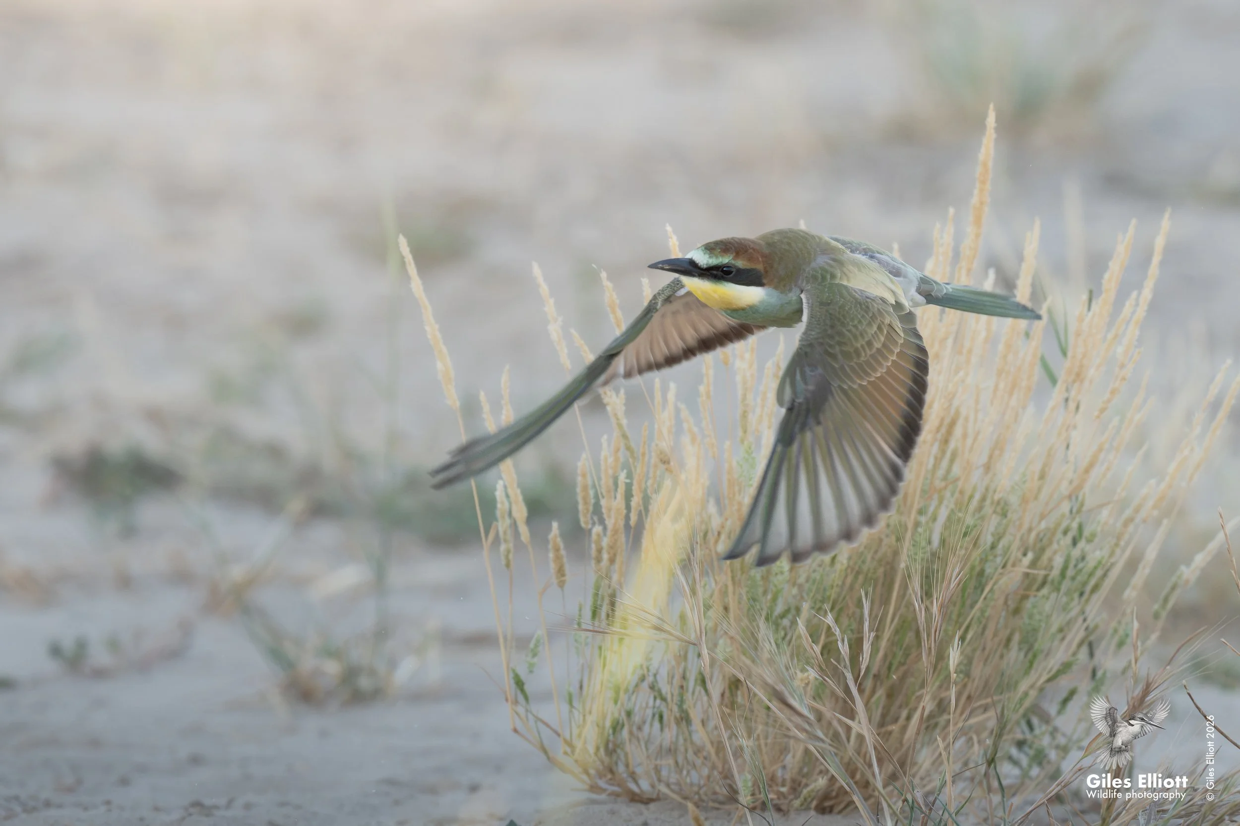 Learning to fly