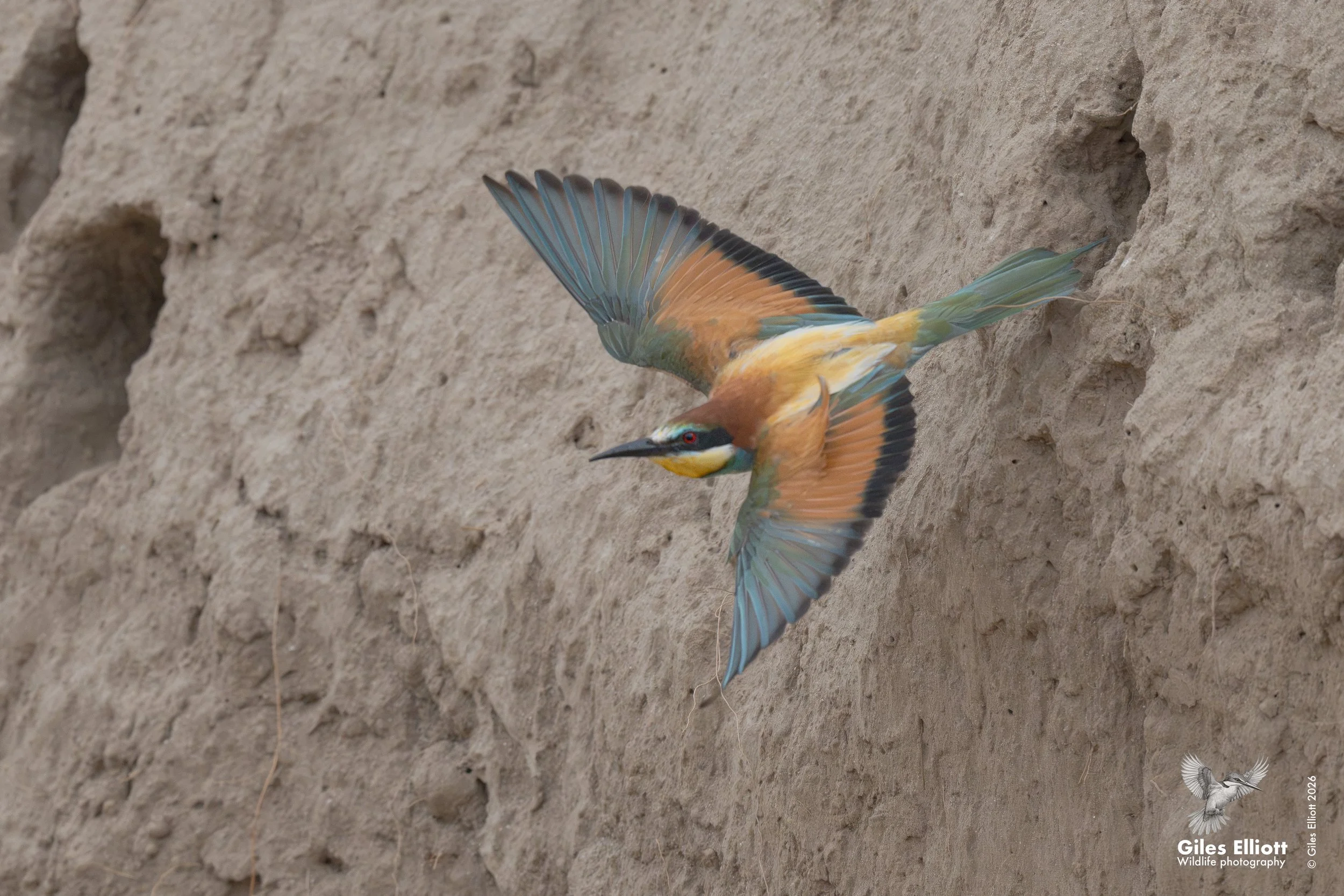 Off for more food