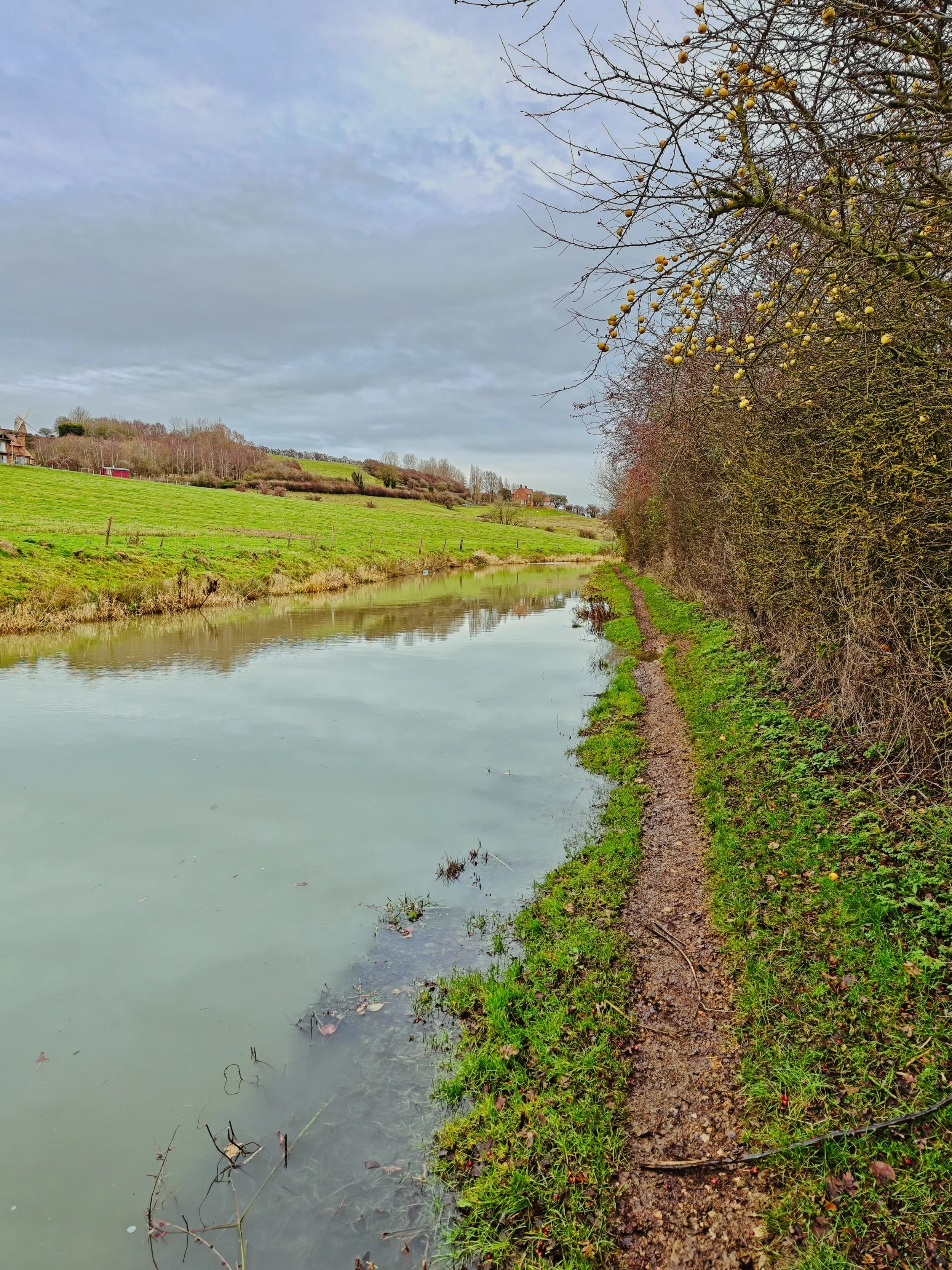 Collapsing towpath of the Grand Union Canal near Napton due to Signal Crayfish
