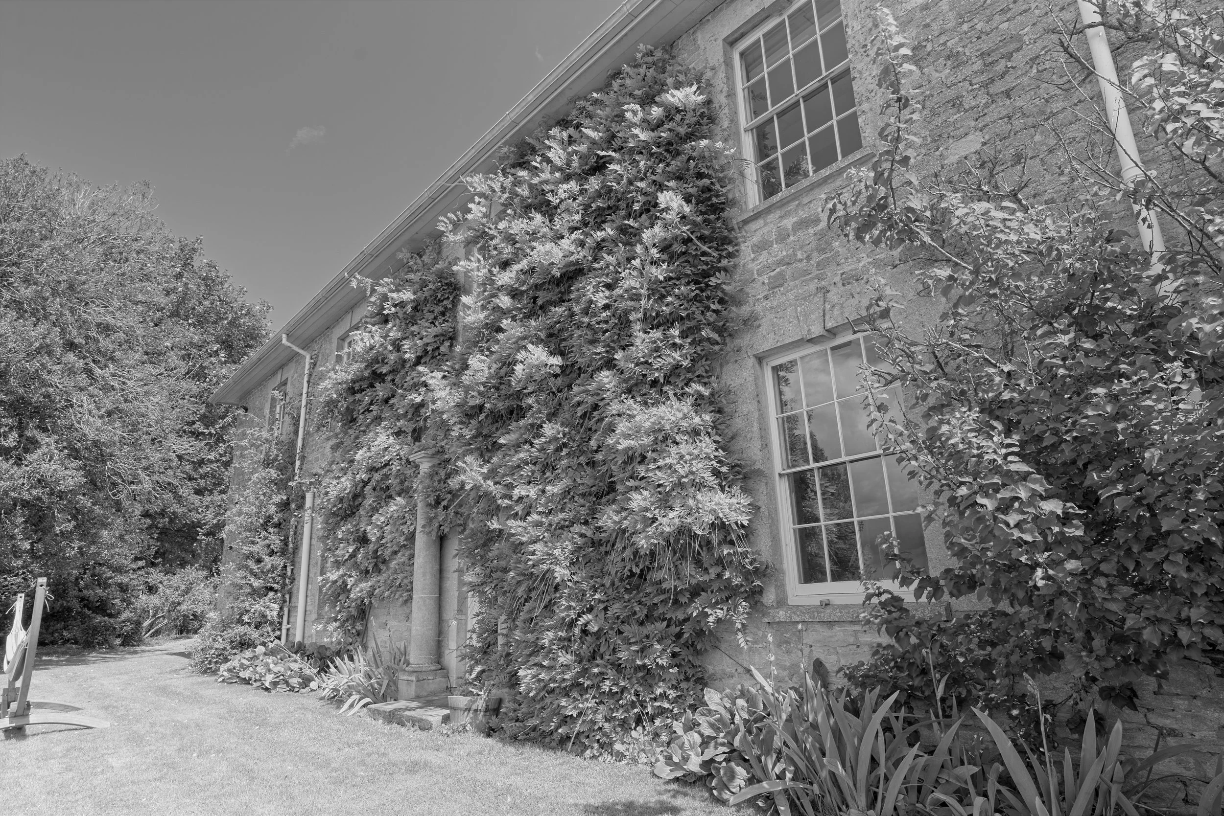 Unveiling the Art of Real Estate Photography: Showcasing Homes in Their Best Light