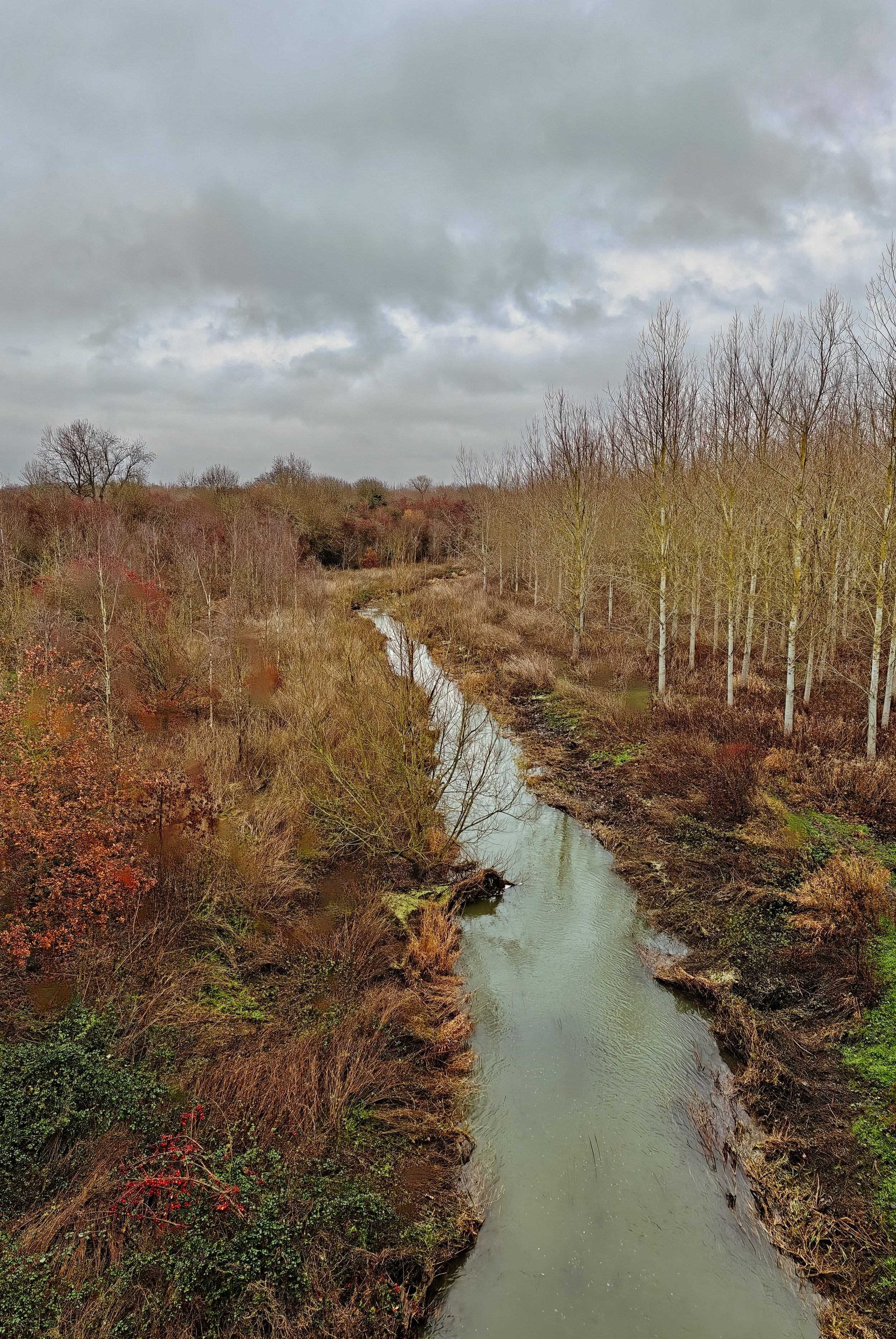 Autumn view of the River Itchen near Long Itchington, Warwickshire