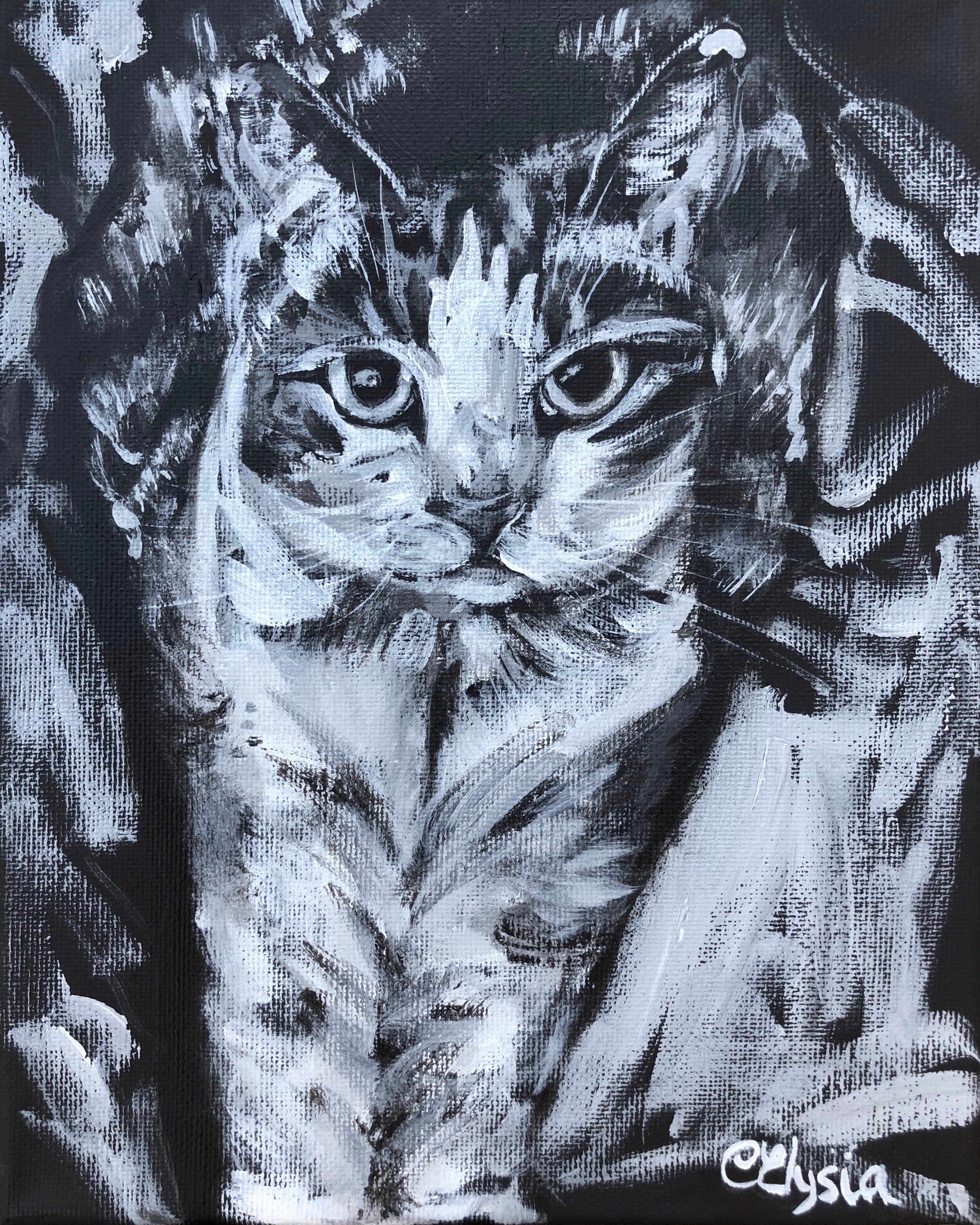 ElysiaC_GraffitiCat.jpeg