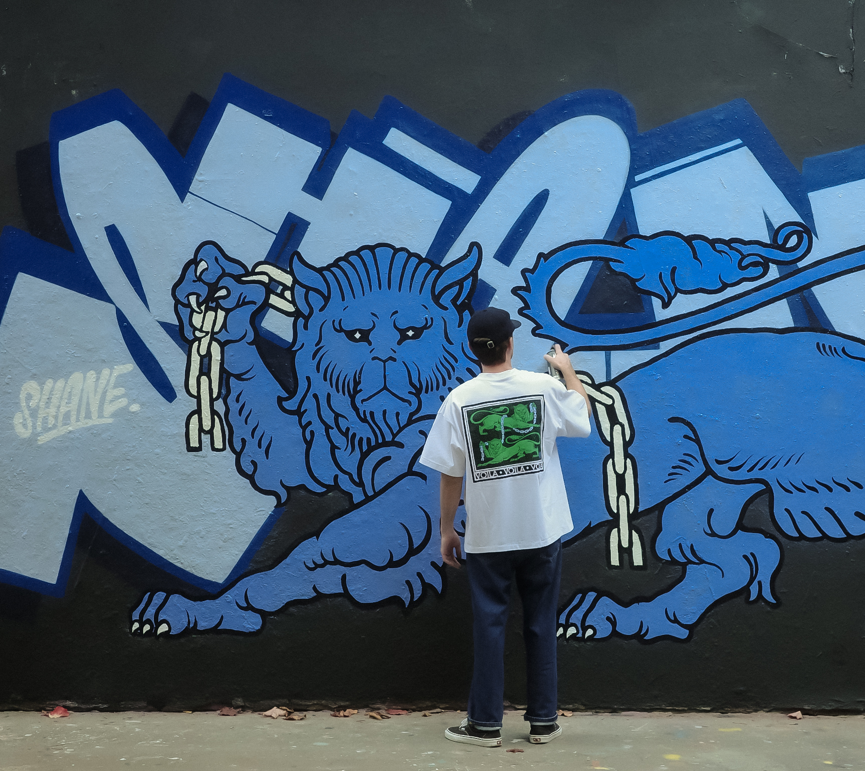 Vue de dos de l'artiste Shane Hello peignant à la bombe aérosol un grand graffiti mural sur fond noir. La fresque comprend un lettrage bleu clair et un lion bleu tenant des chaînes jaunes dans sa gueule. L'artiste porte un t-shirt blanc oversize impr