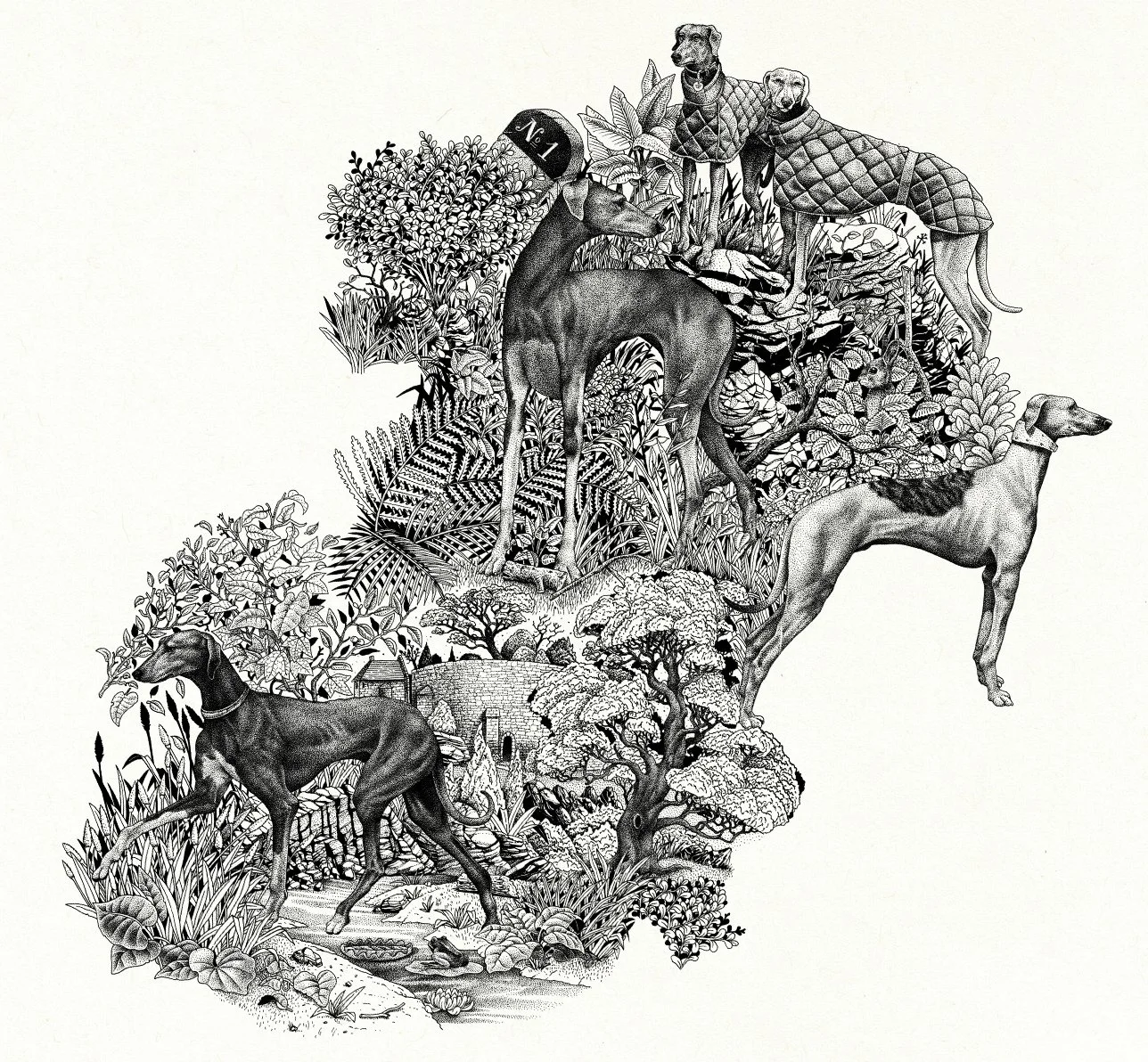 Illustration en pointillisme à l'encre noire représentant une composition de lévriers dans un paysage végétal détaillé et champêtre sur fond blanc.
