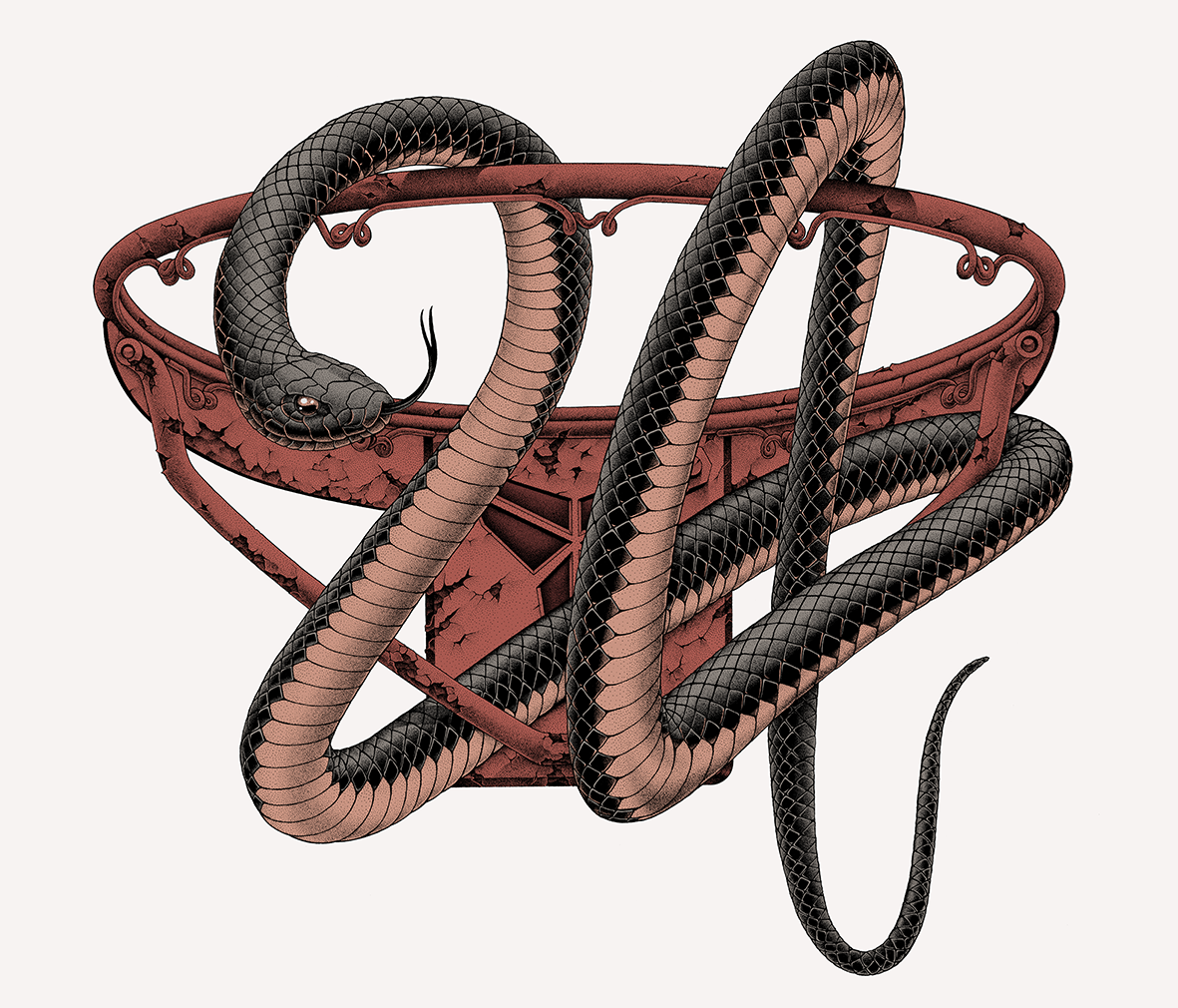 Illustration graphique en pointillisme (dotwork) de l'artiste Shane Hello représentant un serpent mamba noir aux reflets cuivrés formant le chiffre 24. Le serpent s'enroule autour d'un cercle de basket-ball rouge rouillé arborant le logo Sheath de Ko