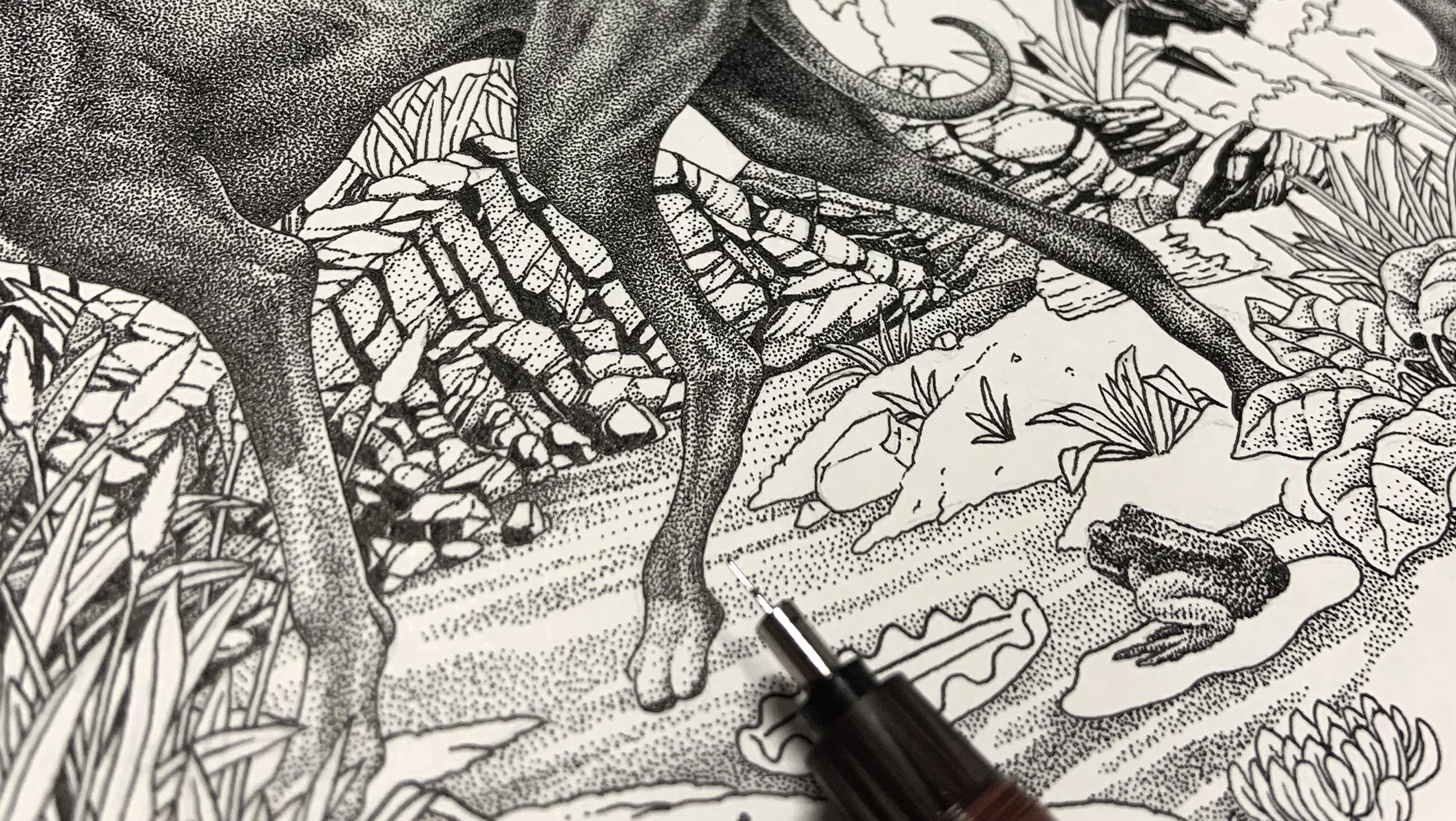 Gros plan sur la technique du pointillisme (stippling) à l'encre de Chine pour le dessin d'un lévrier et d'un crapaud, avec la pointe d'un stylo tubulaire en cours de travail.