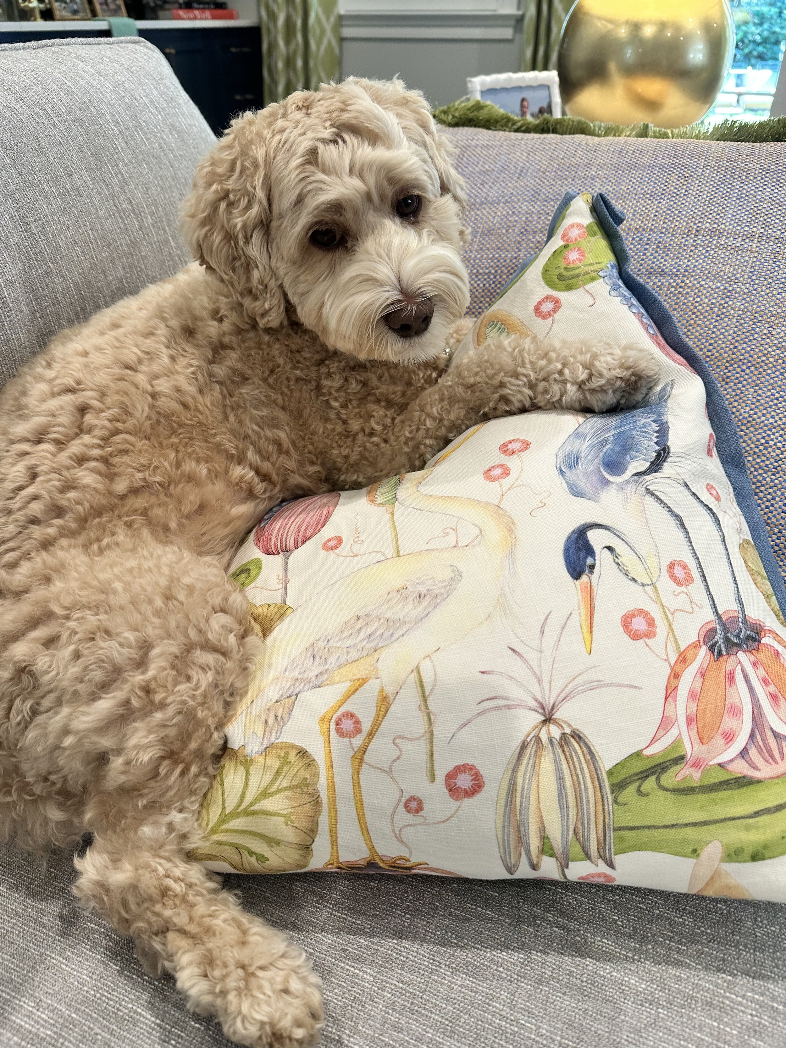 House of Harris-Fabric-Fancy Flock-Pillow.jpeg