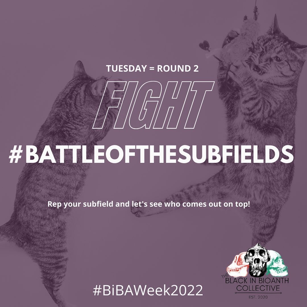 Day 2 of #BiBAWeek2022 and we&rsquo;ve got the #BattleOfTheSubfields! Biological anthropology is a subfield of #anthropology in general, but it can also be broken down further into subfields! #primatology, #paleoanthropology, #genetics and so much mo