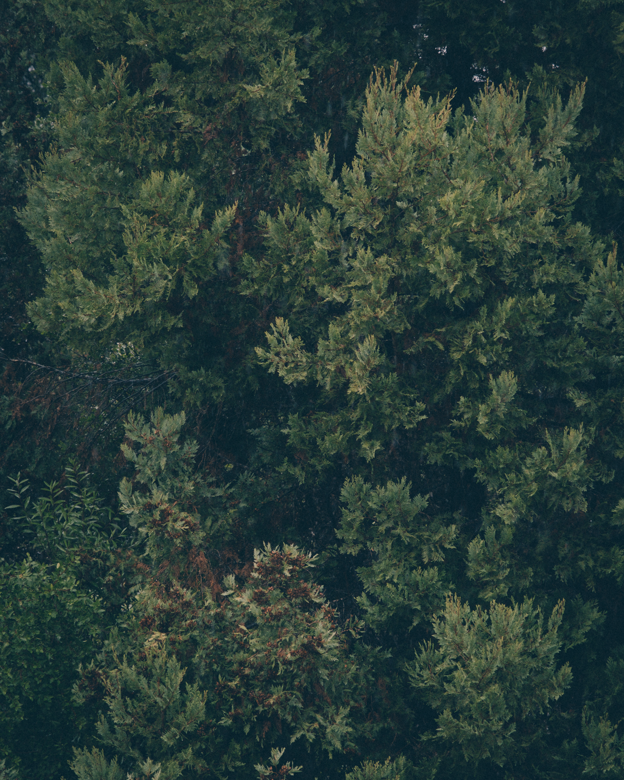untitled-8527.png
