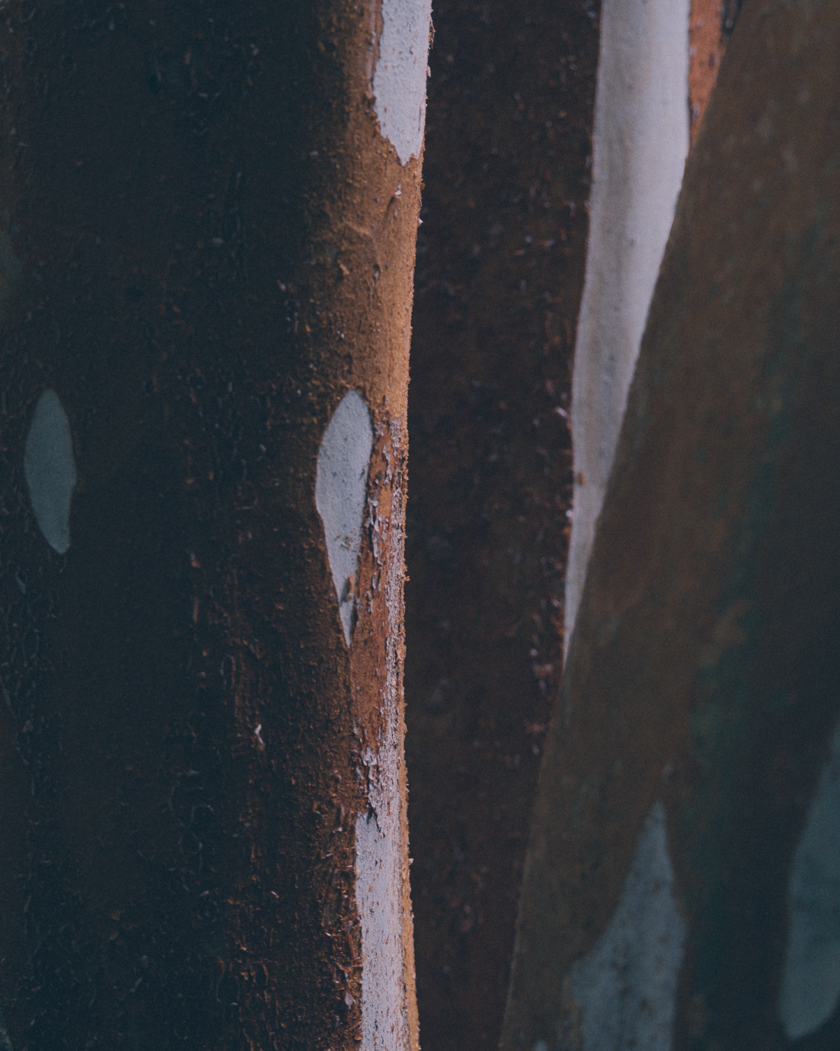 untitled-3769.png