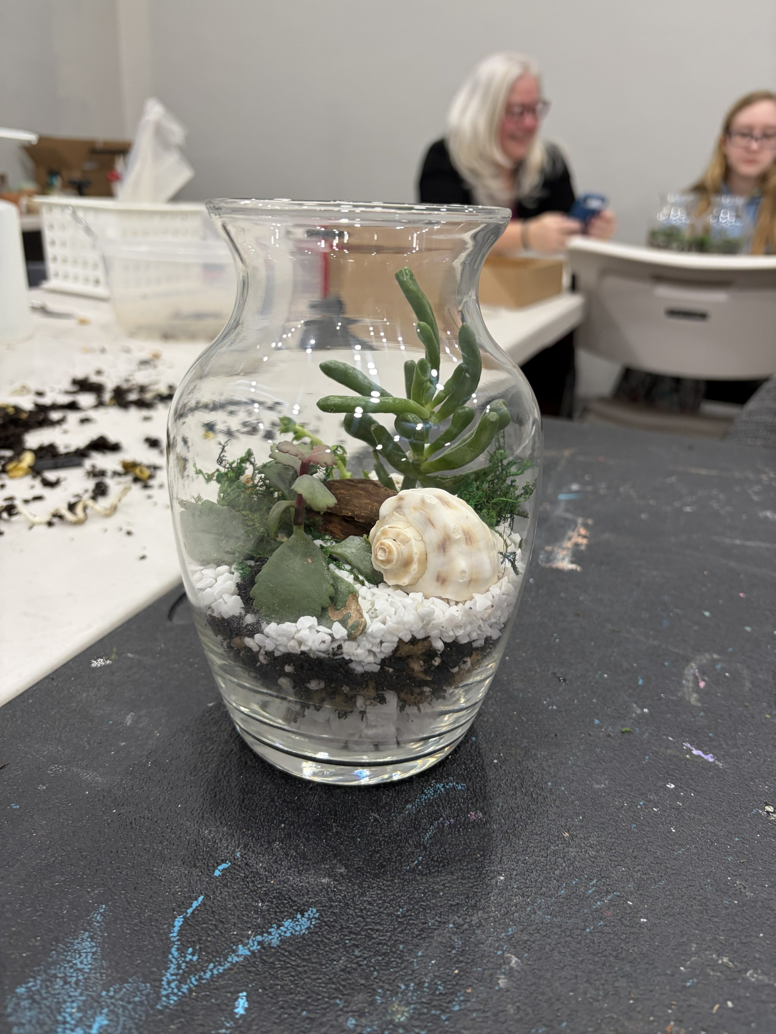 Terrarium Workshop