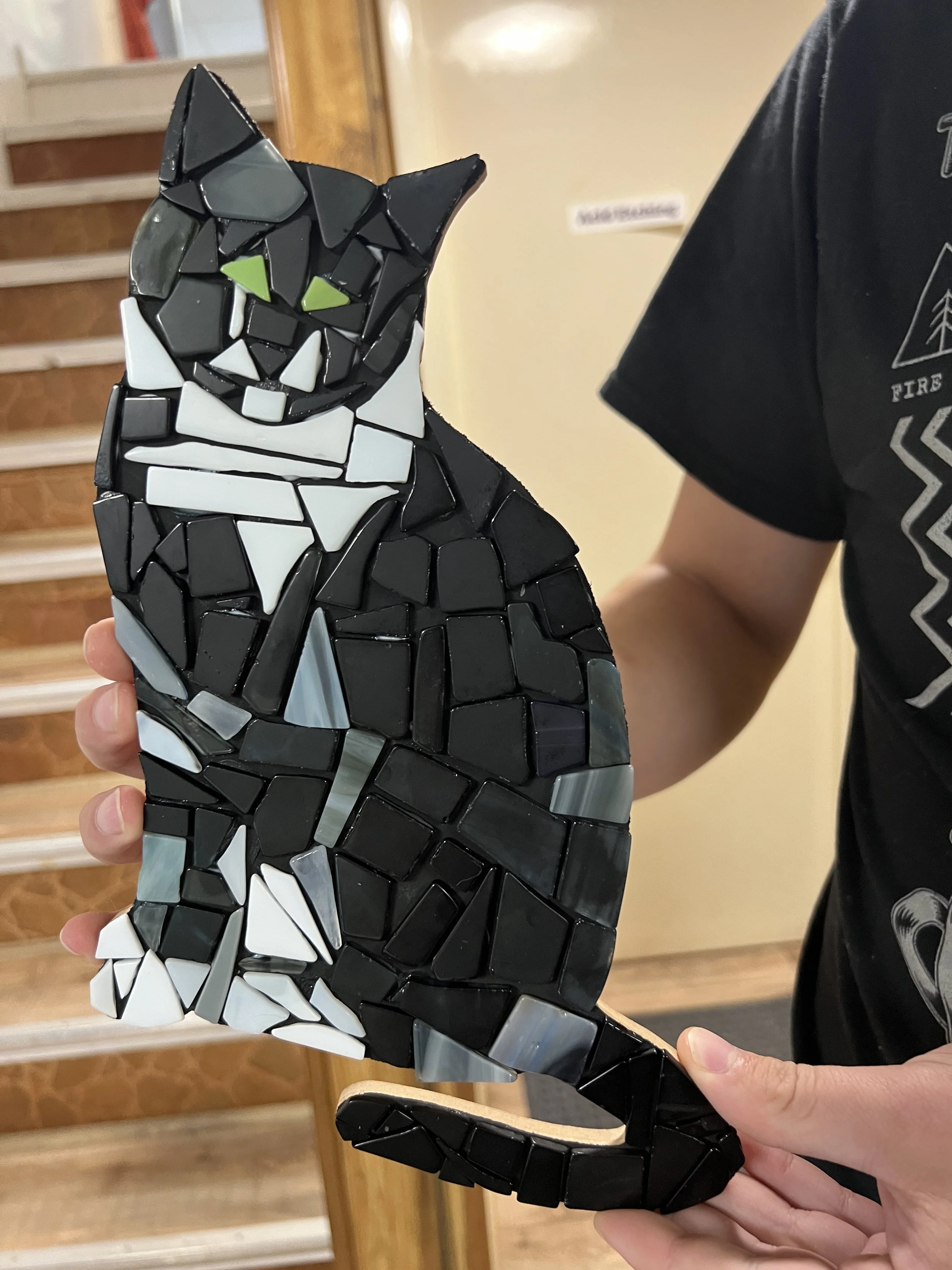 Cat example.JPG