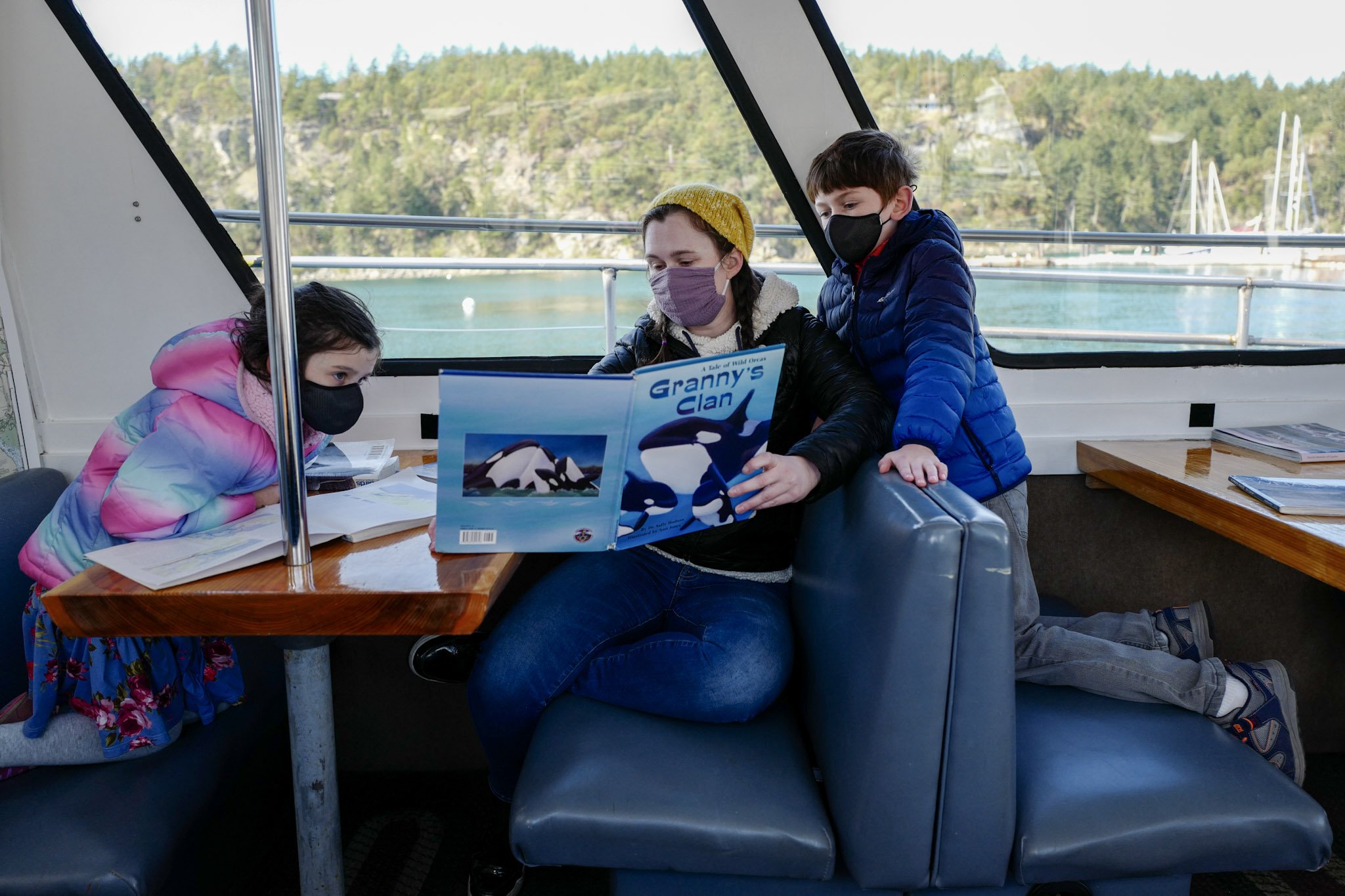orcas21 2.jpeg