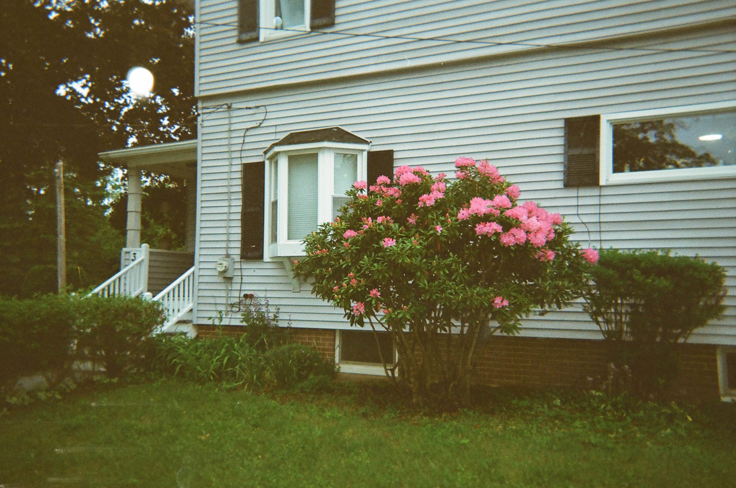 FILM
