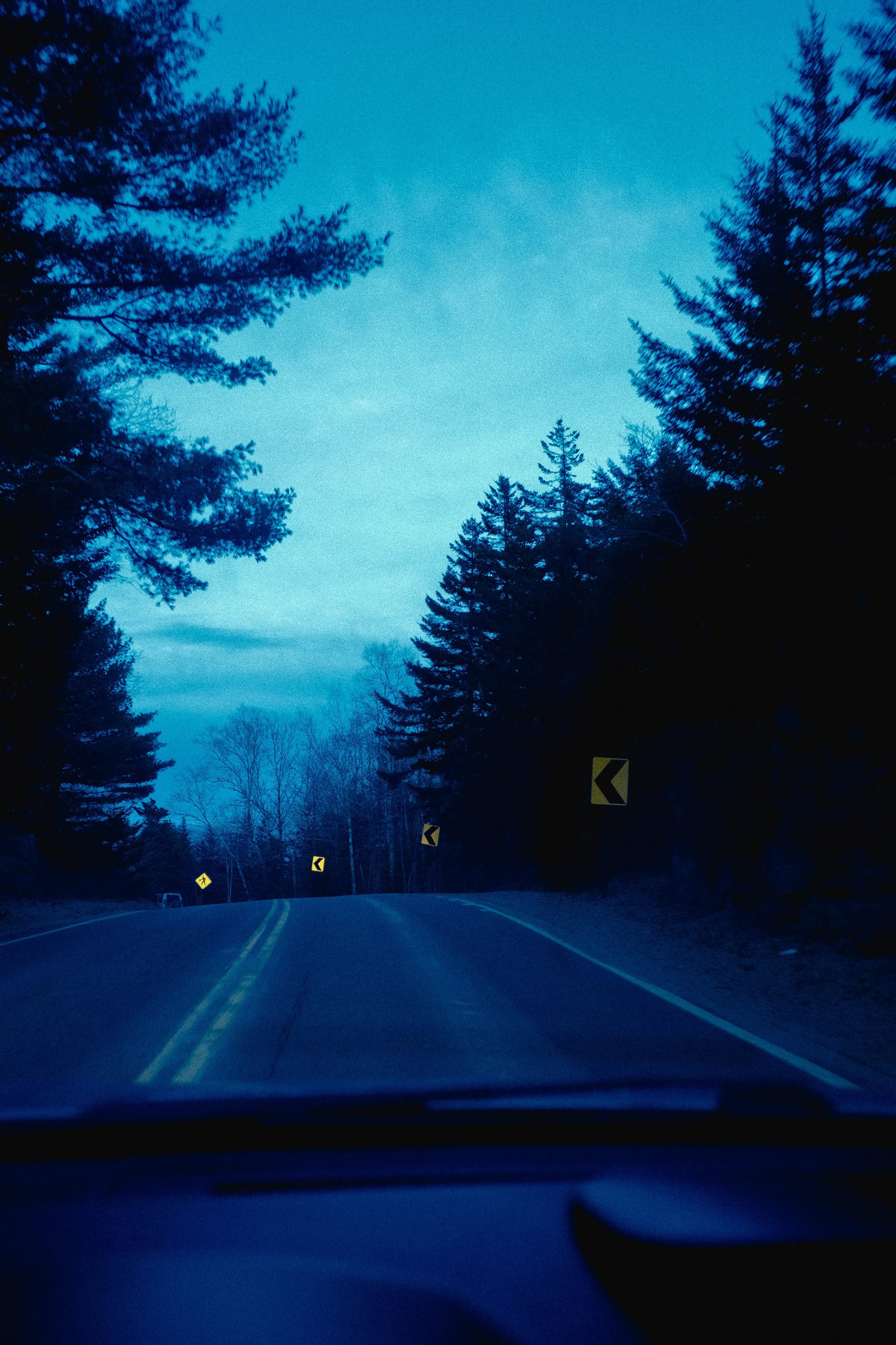 DSCF7725.jpg