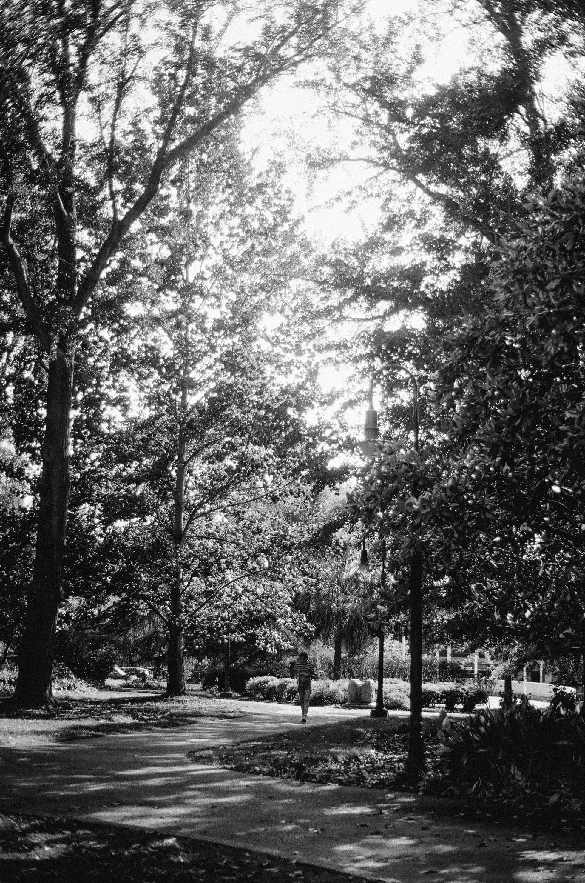 000199880024.jpg