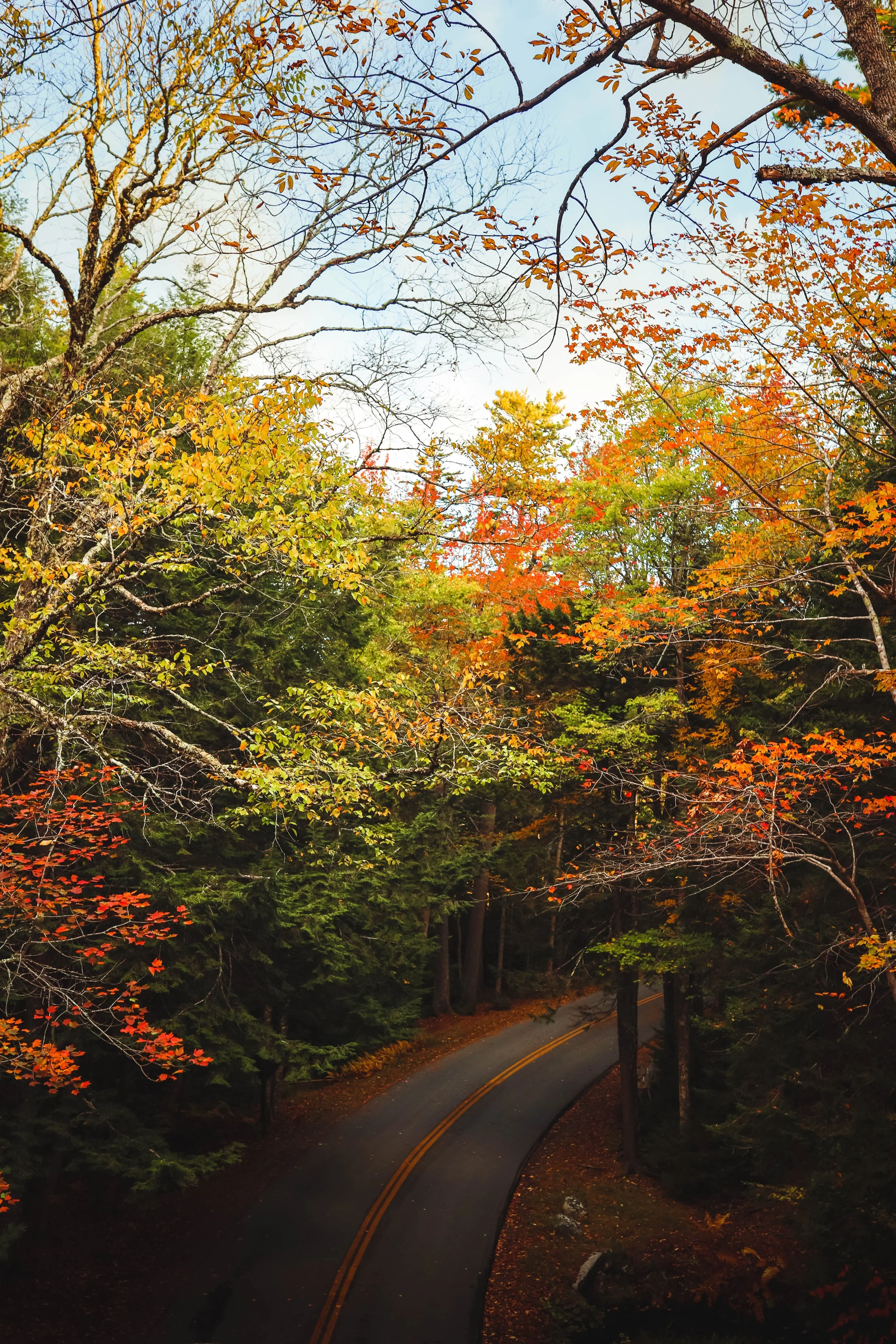 I17A7259-2.jpg
