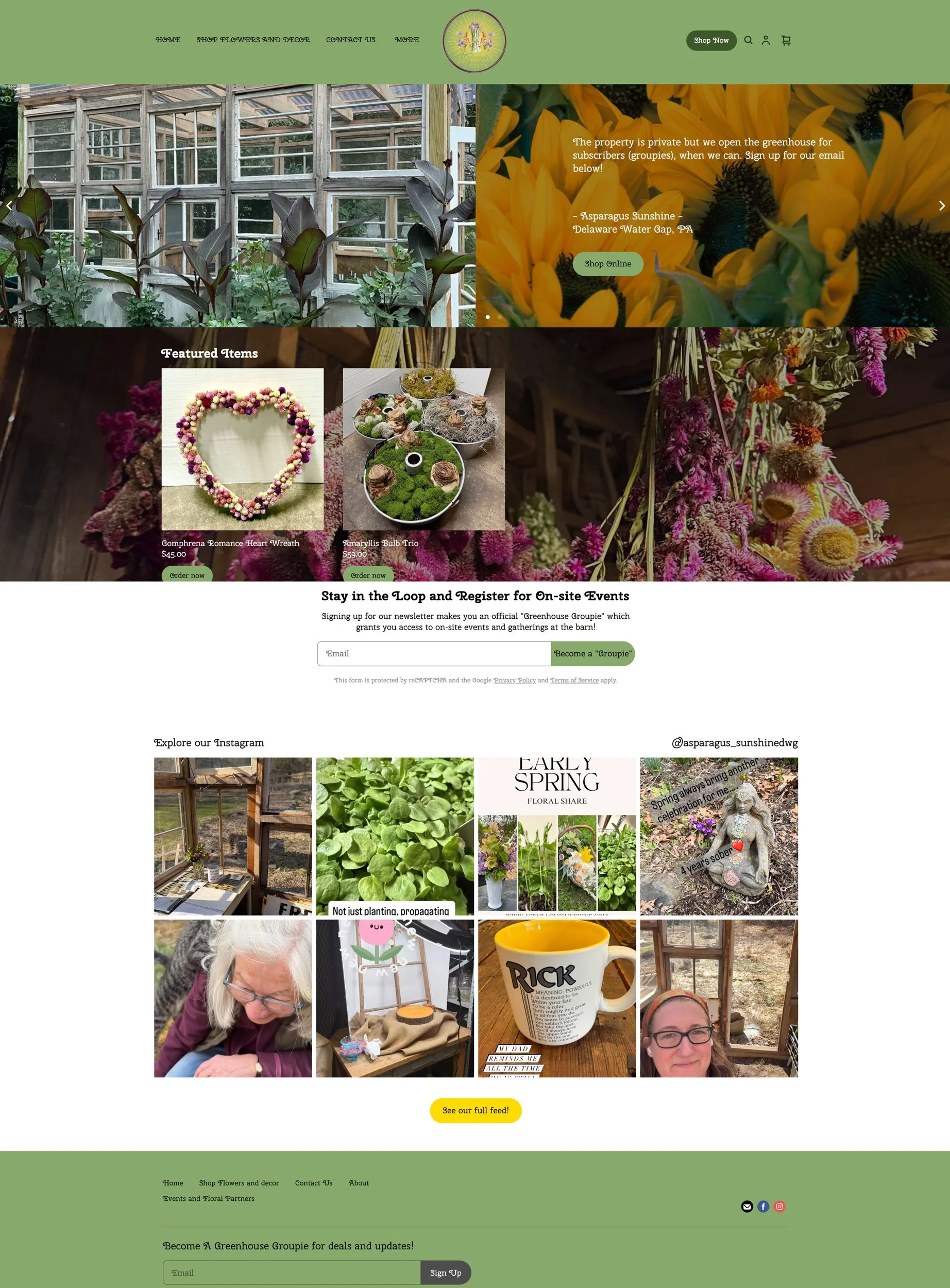 screenshot of old asparagus sunshine homepage website