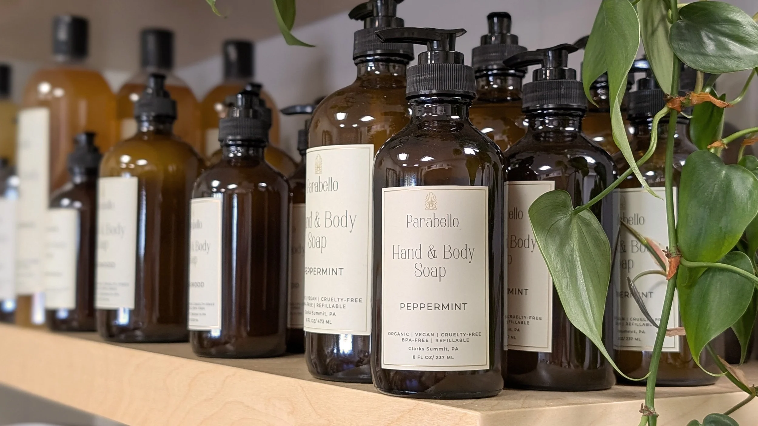 parabellocollection_banner.jpg