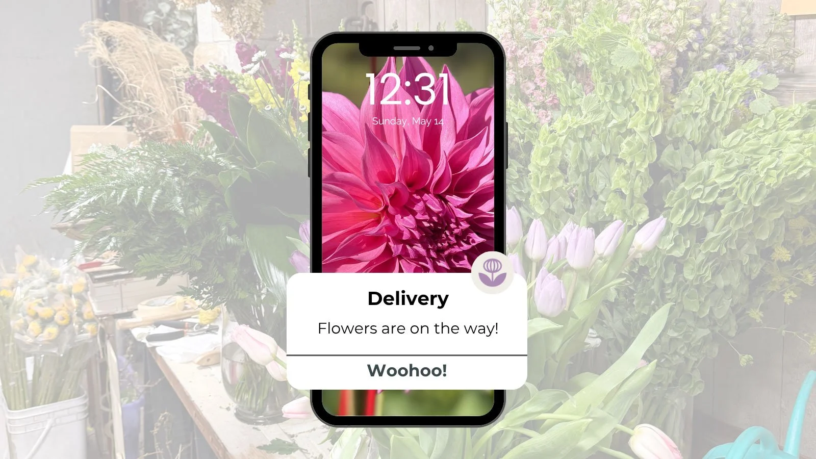 Client: Asparagus Sunshine