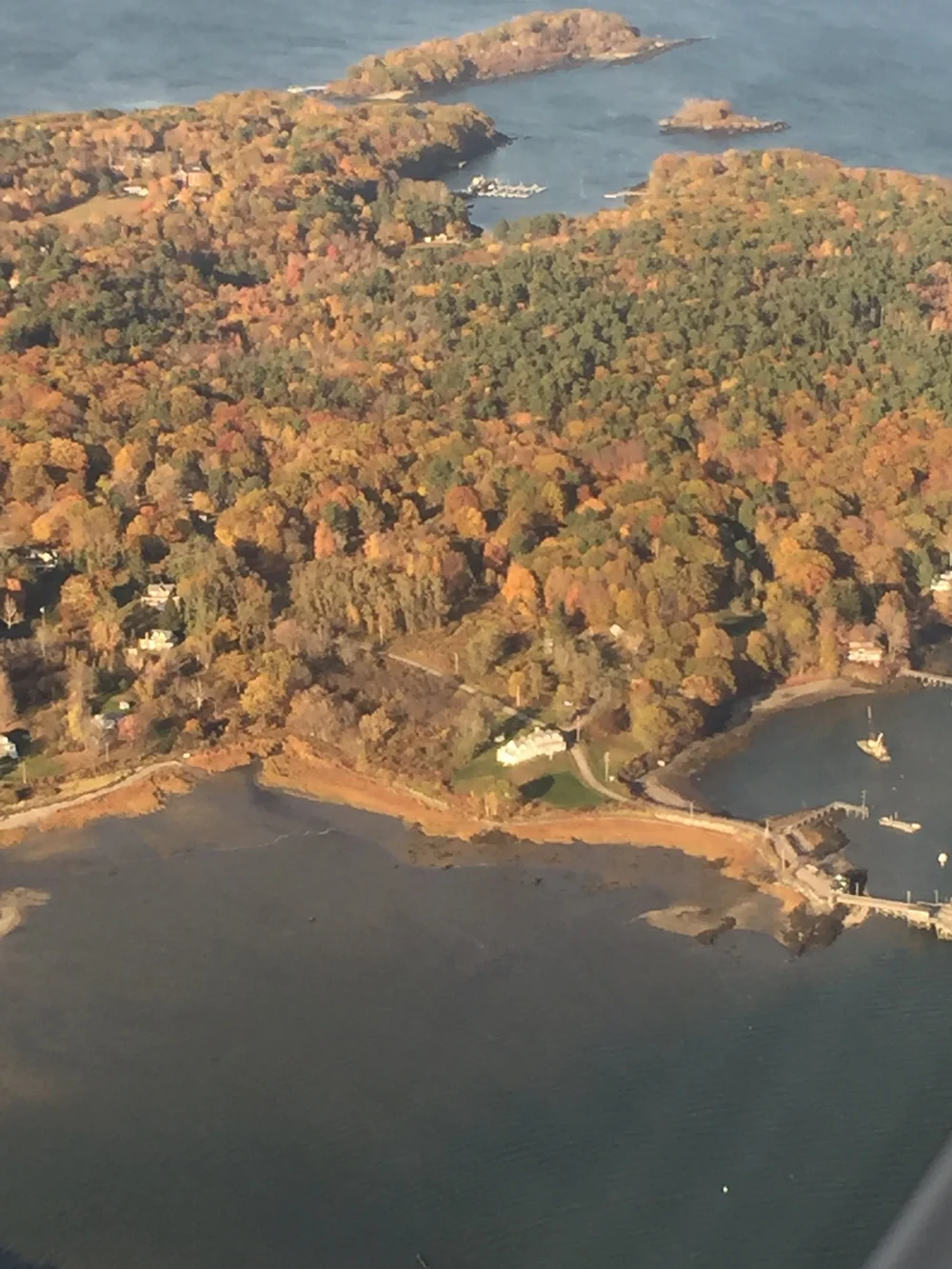 3AE07795-9645-4A9A-B1CD-AF0983246DED - Robert Coggins.jpeg