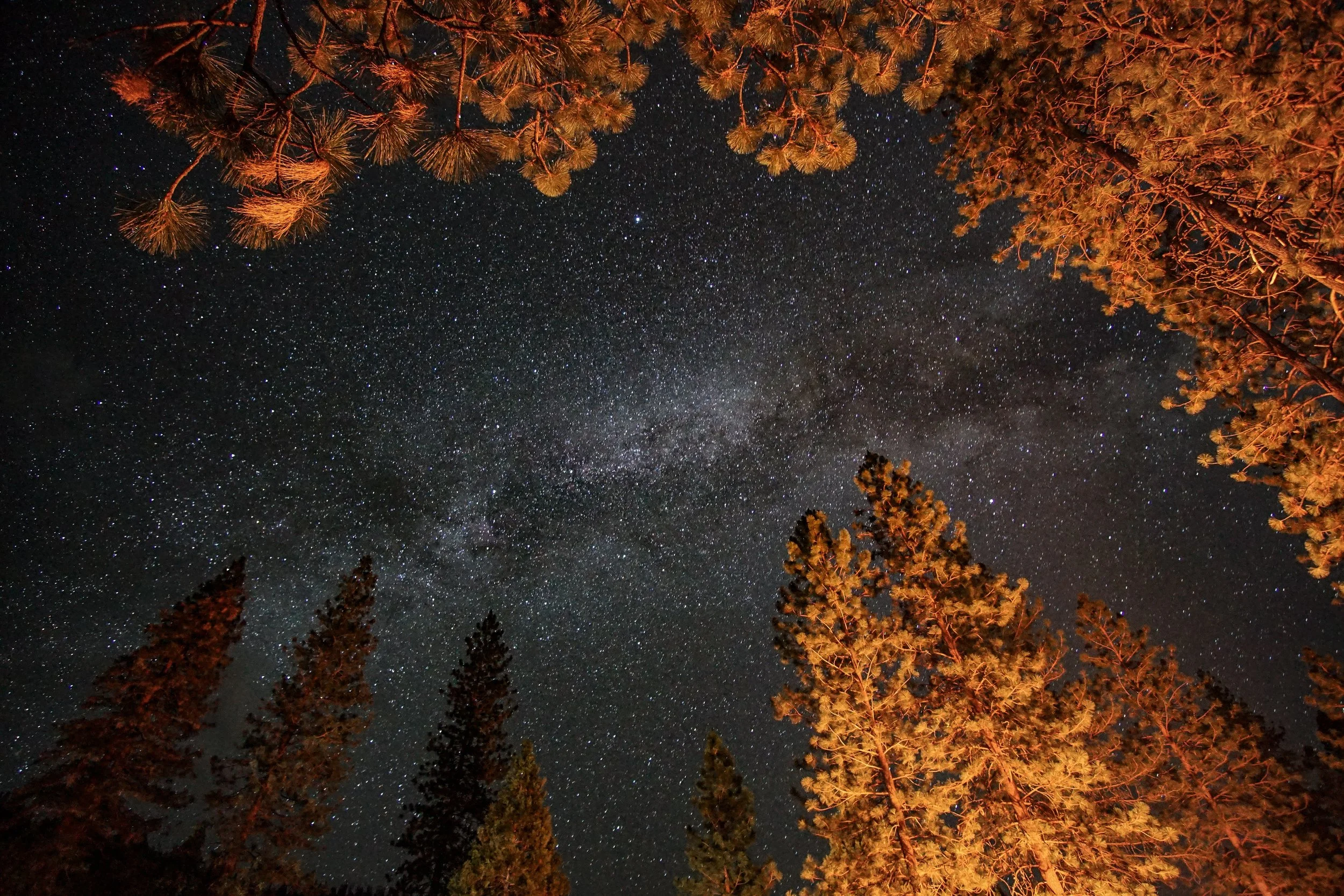 Yosemite Milky Way