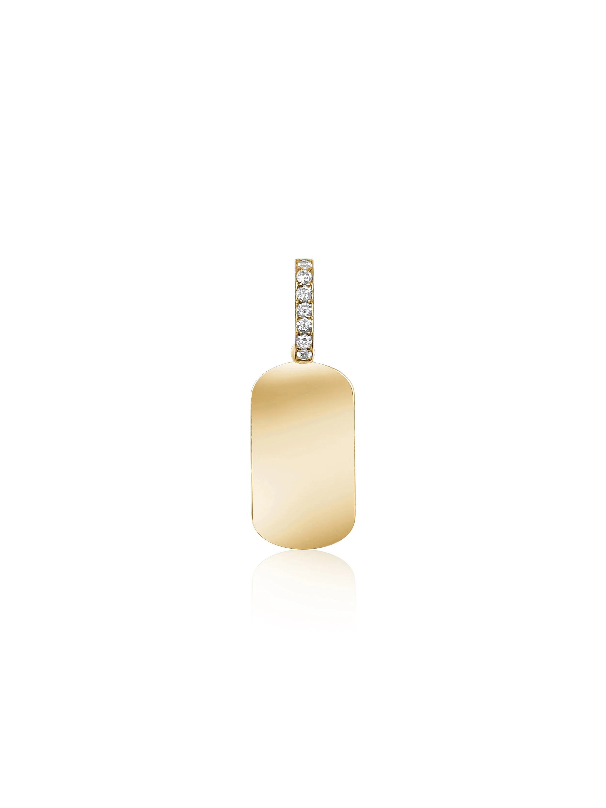 P201 DOG TAG.jpg