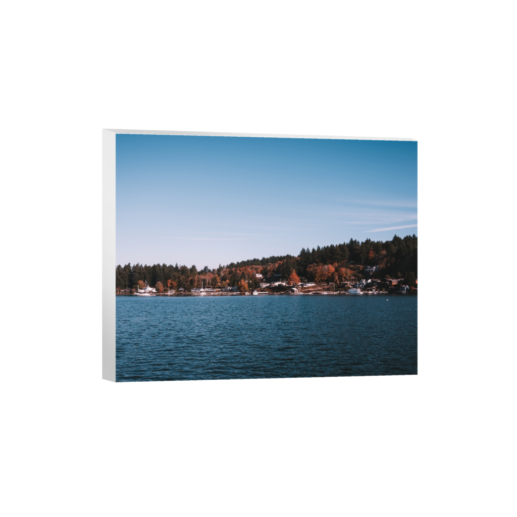 canvas_rectangle4_5_1062_0_3896_3117_0_false_ffffff_0_0.png