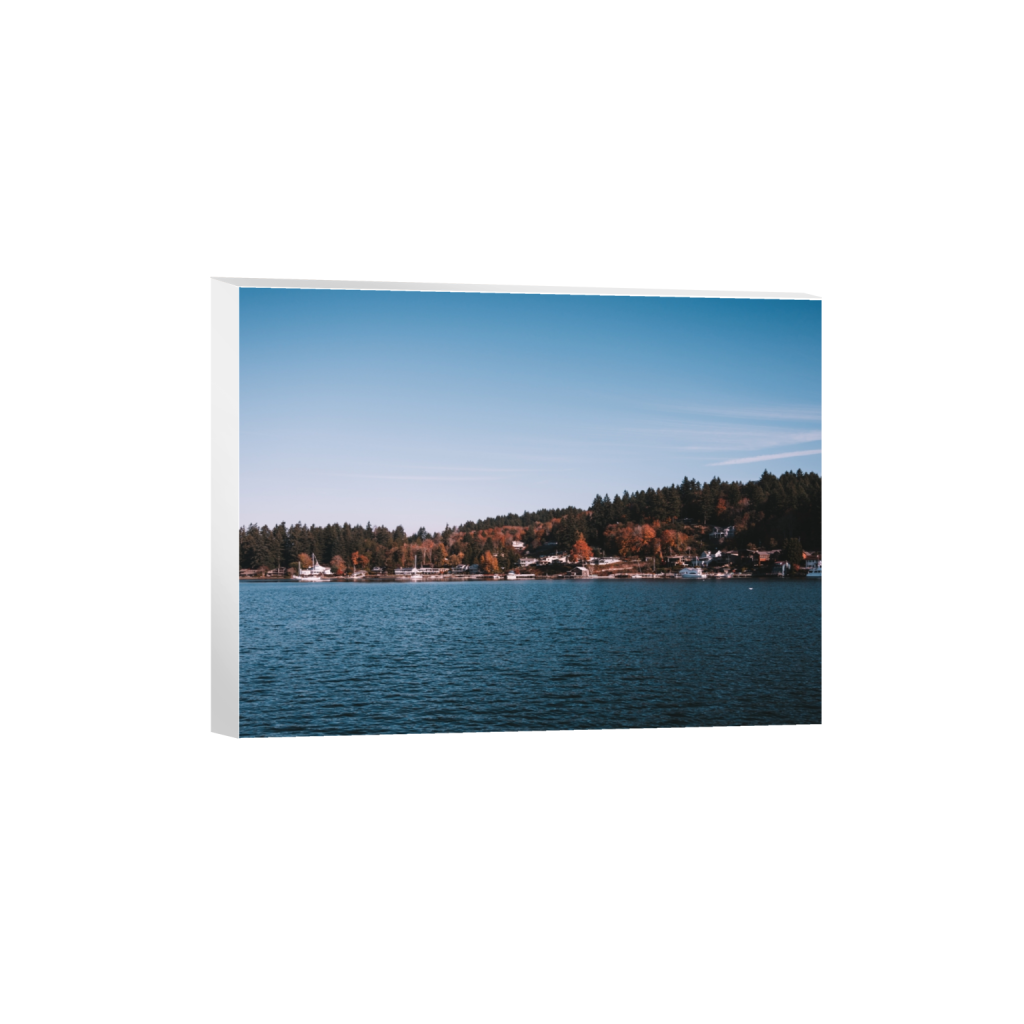 canvas_rectangle3_4_932_0_4156_3117_0_false_ffffff_0_0.png