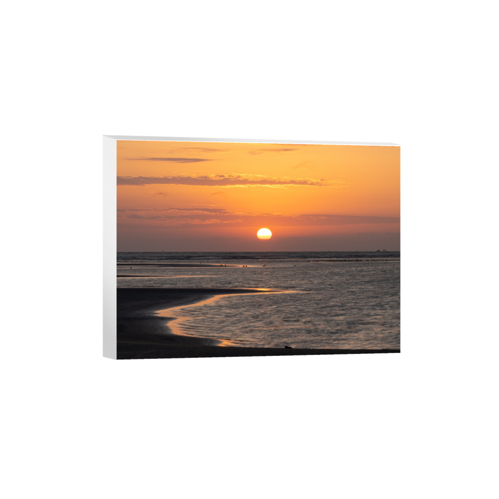 canvas_rectangle3_4_1150_0_4417_3313_0_false_ffffff_0_0.png