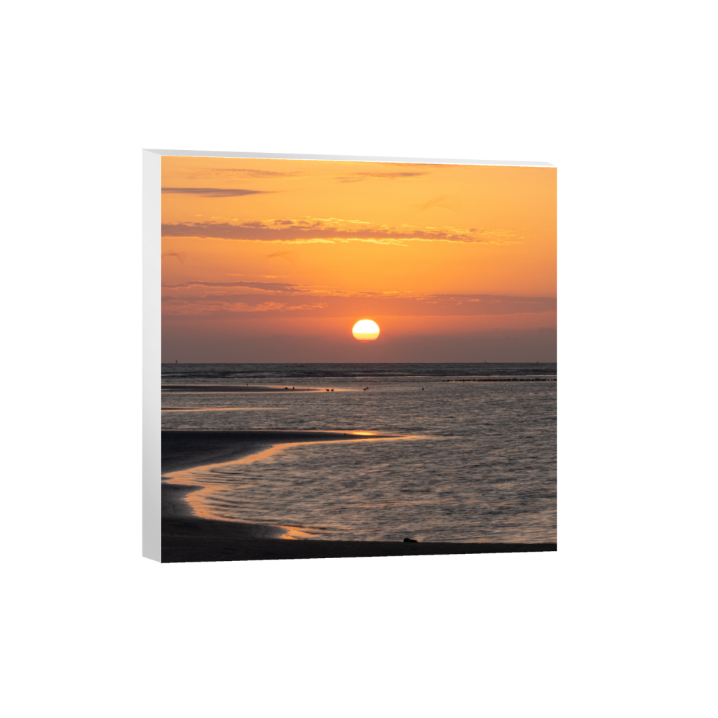 canvas_square_1703_0_3313_3313_0_false_ffffff_0_0.png
