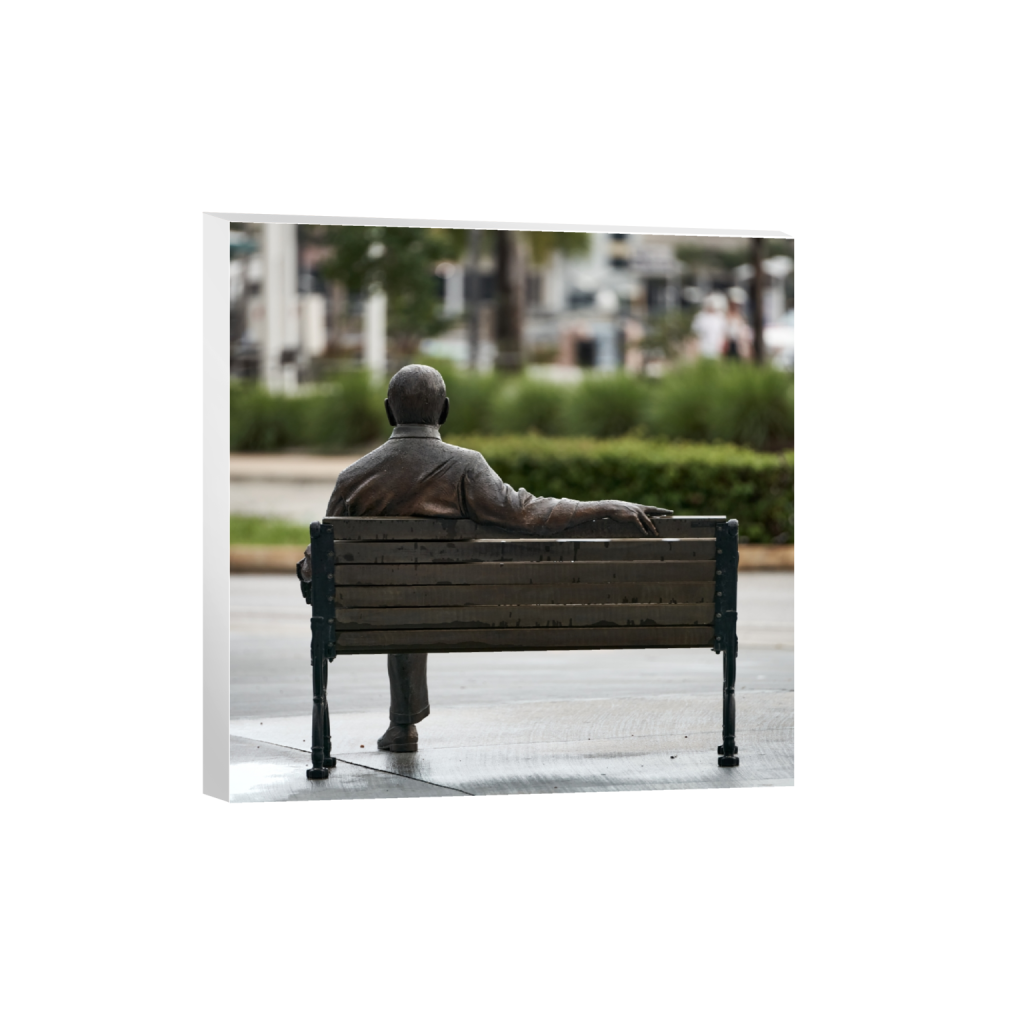 canvas_square_1320_0_5571_5571_0_false_ffffff_0_0.png