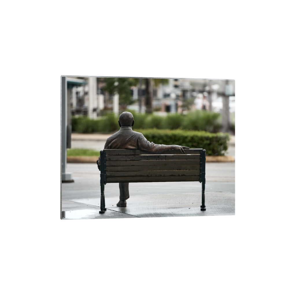 metalprint_rectangle4_5_624_0_6963_5571_0_false_ffffff_0_0.png